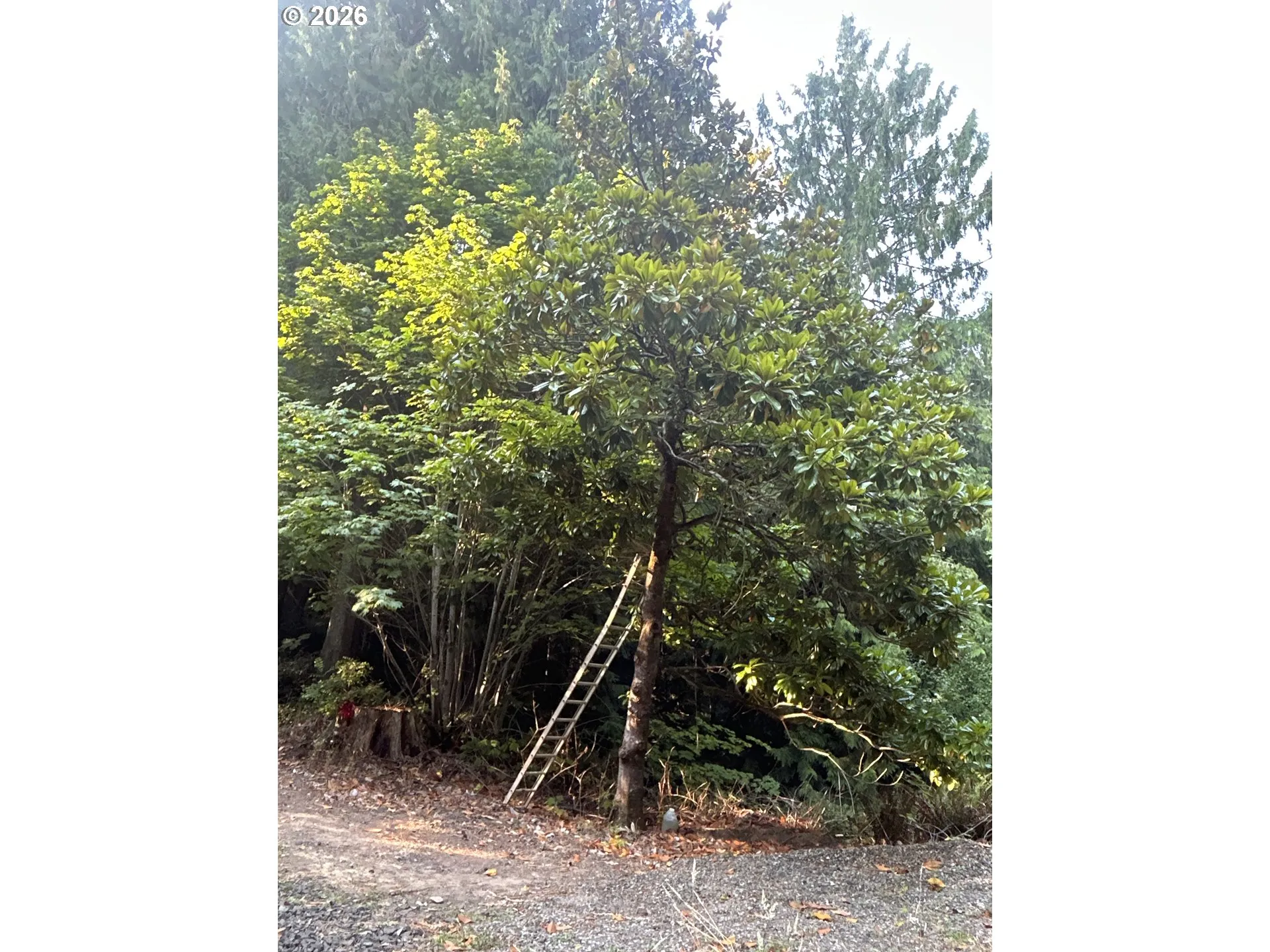 Home Site