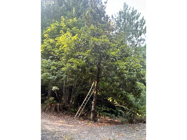 Home Site