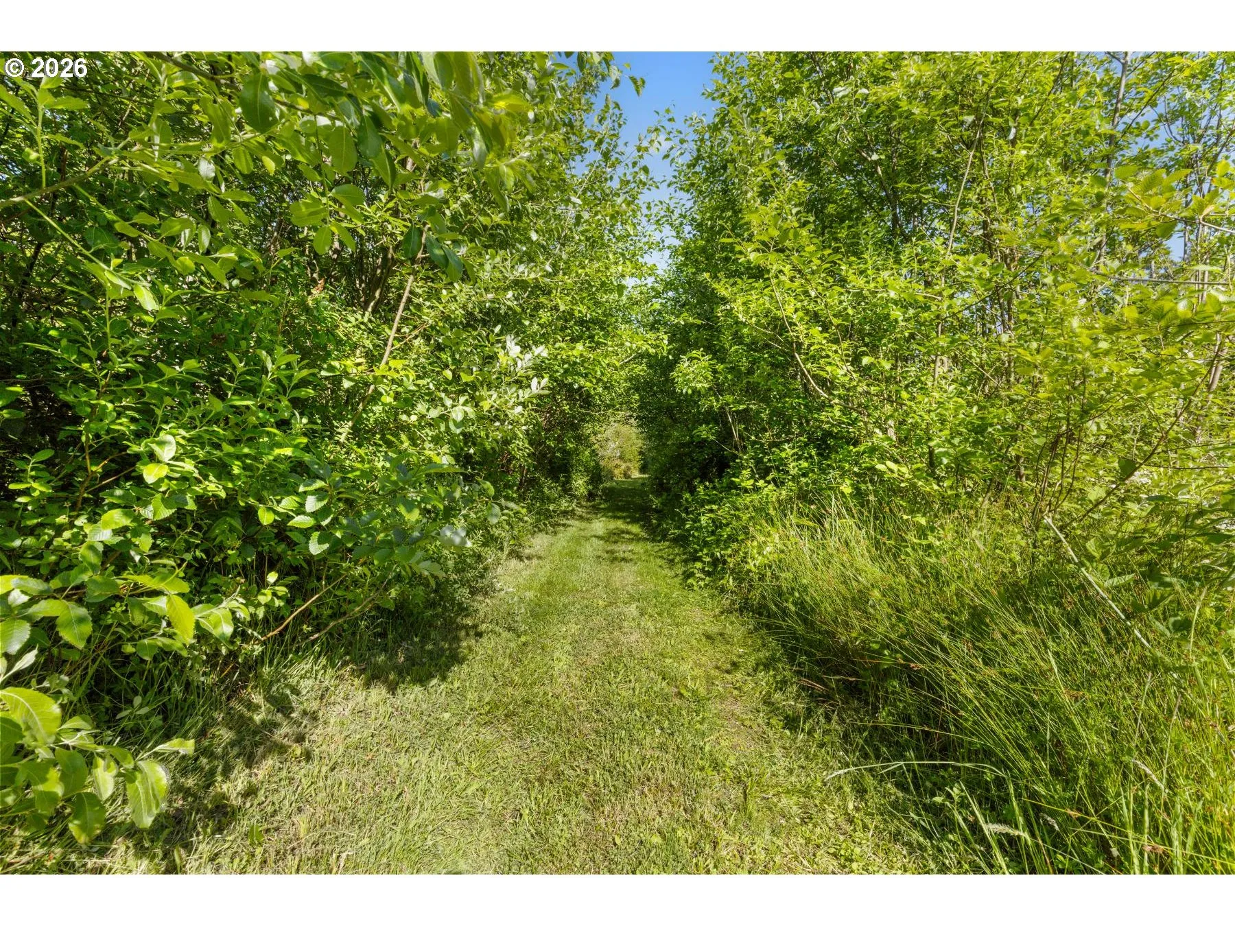 Green Space