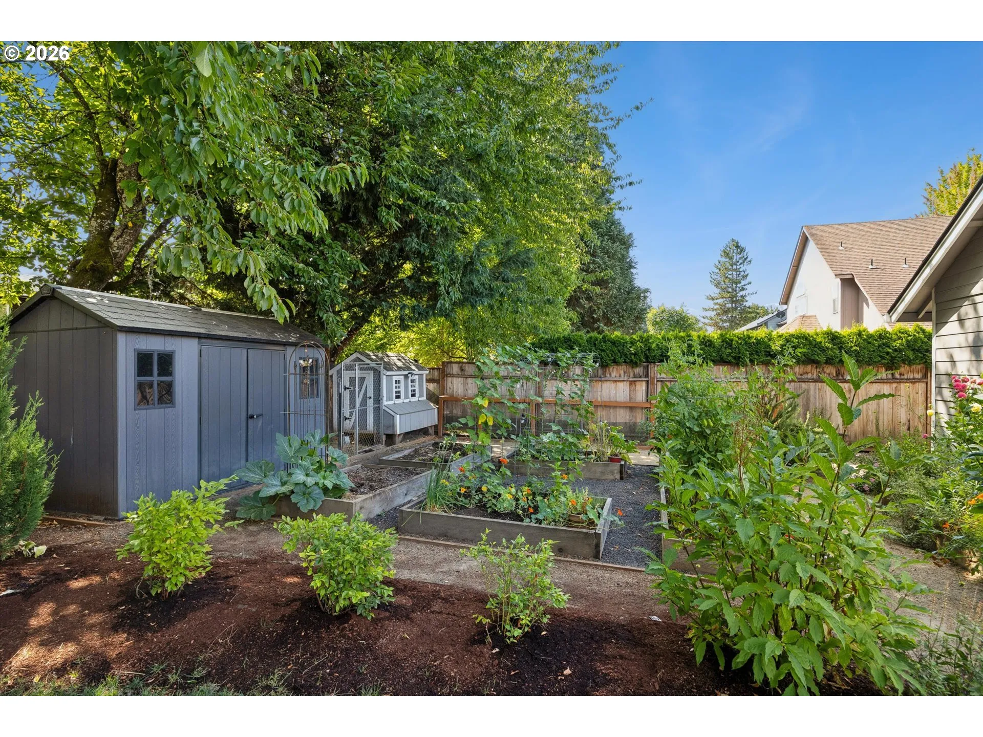 Garden