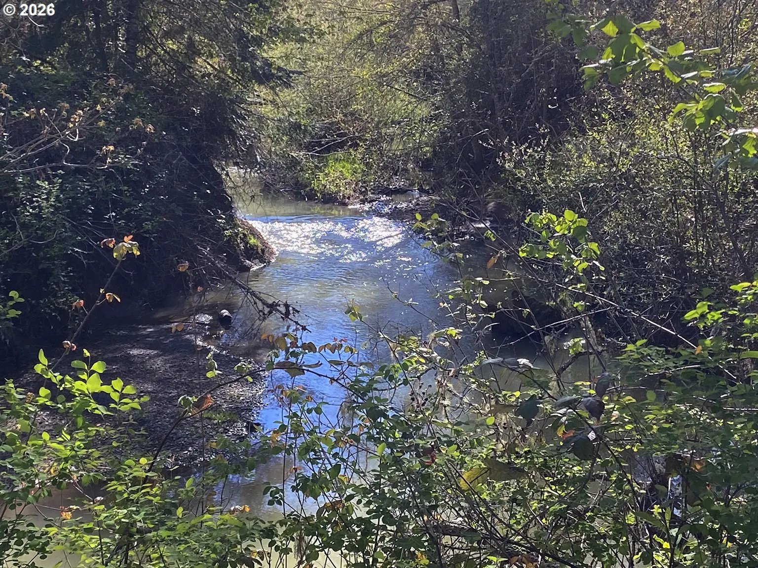 Creek