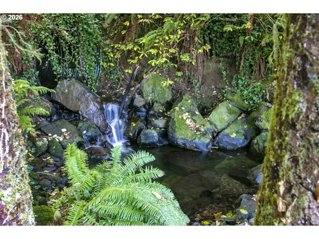 Water Feature