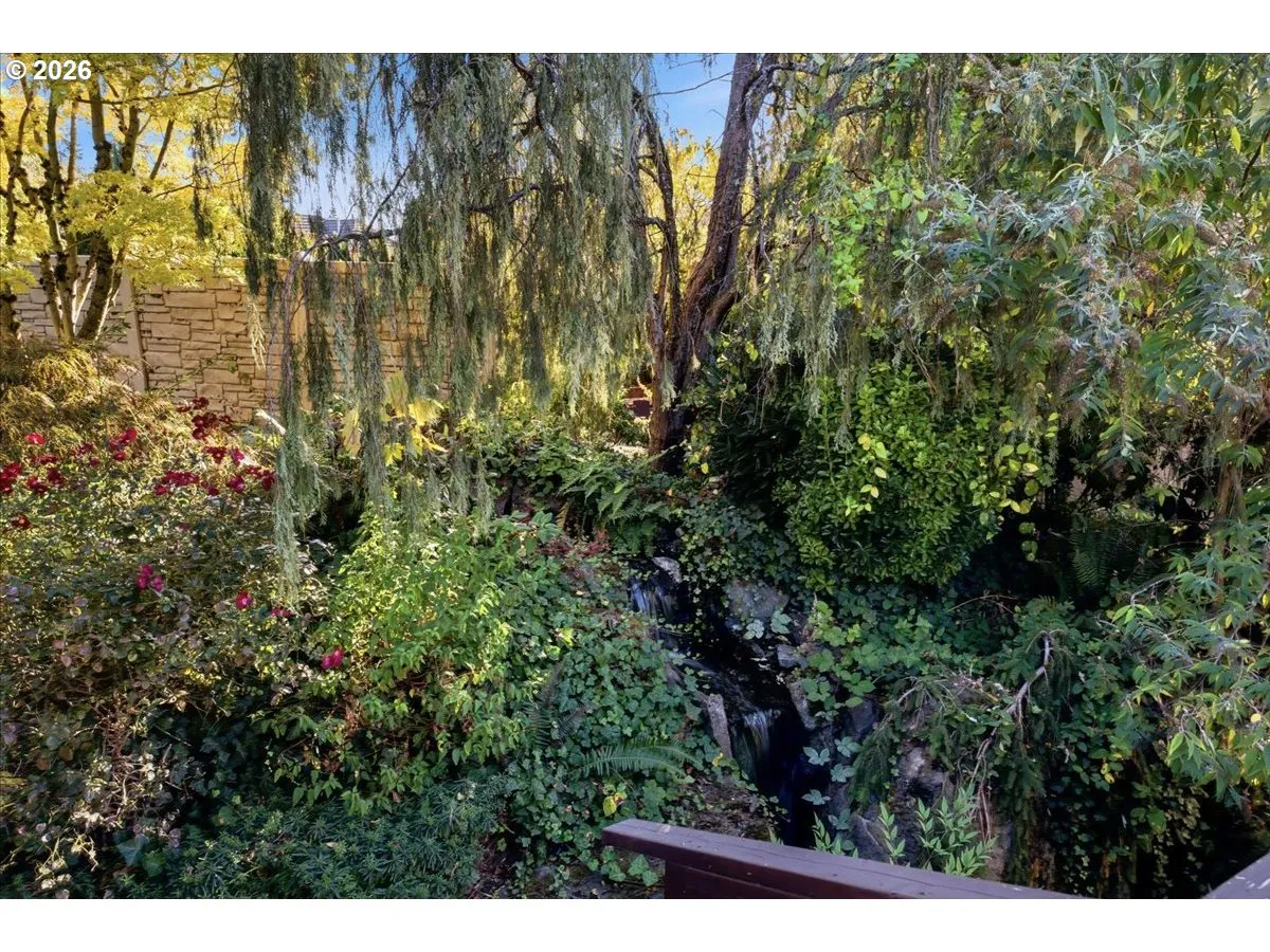 Water Feature