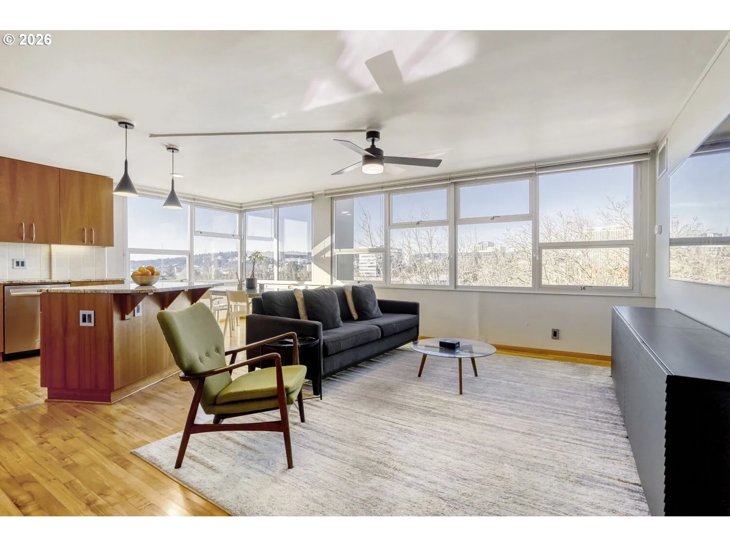 Living Room-Ceiling Fan