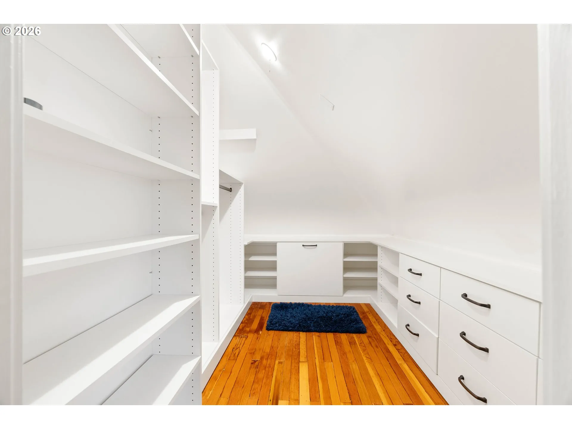 Primary Bedroom-Walk-In Closet