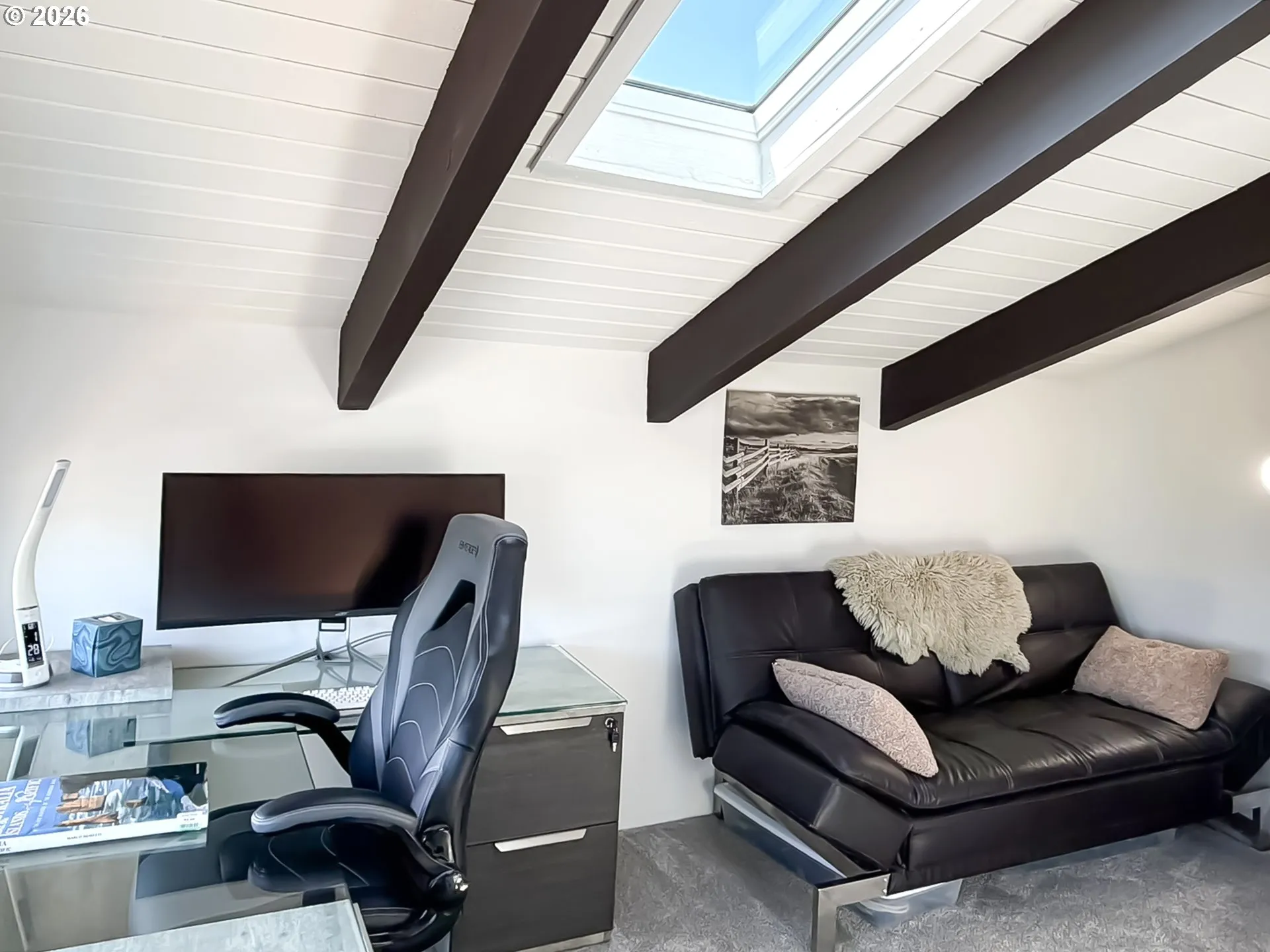 Den/Office-Skylight