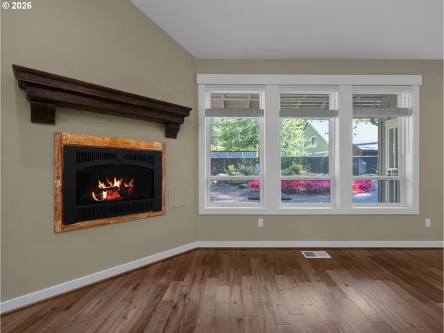 Fireplace Gas
