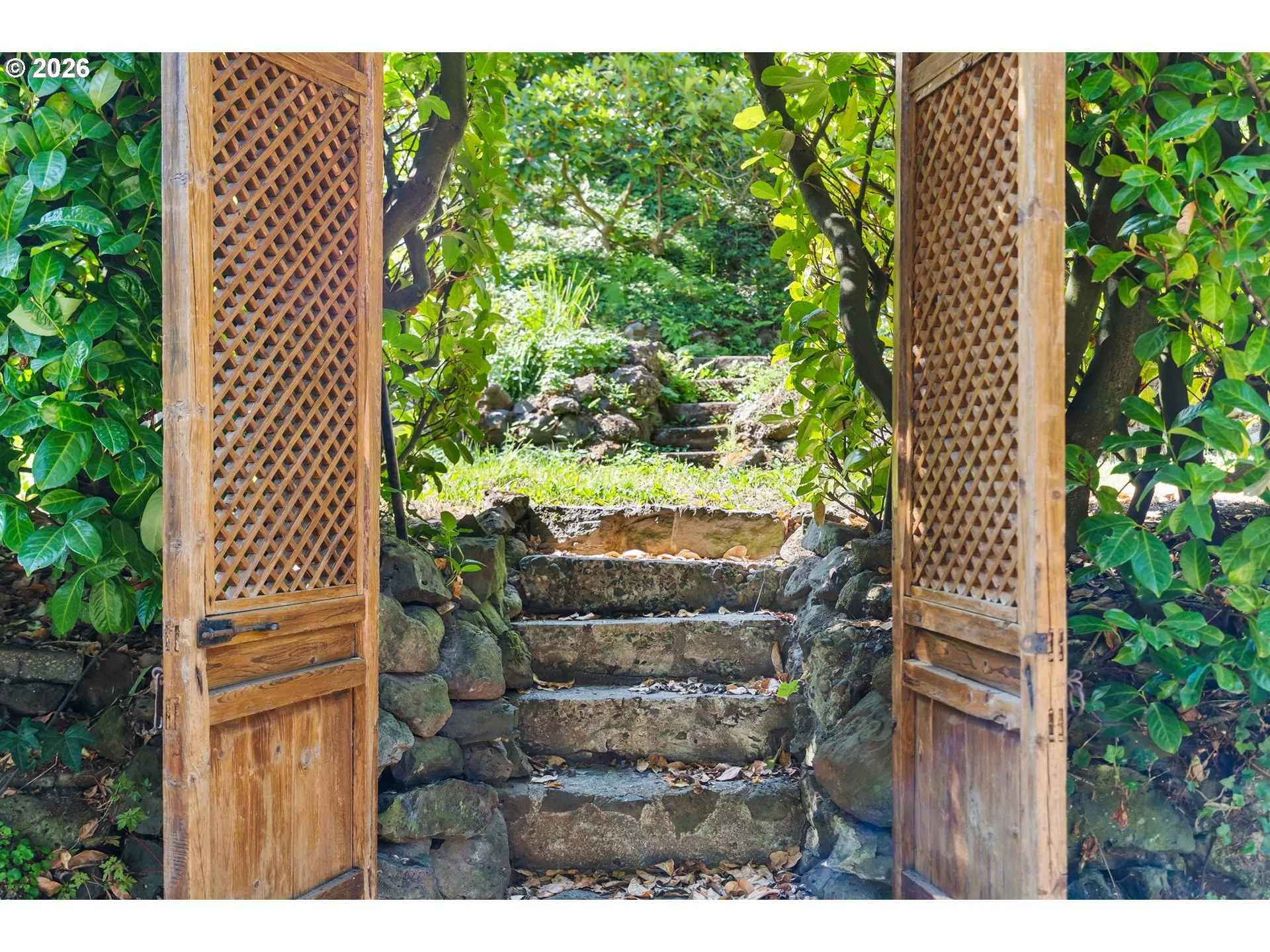 Backyard-Fenced