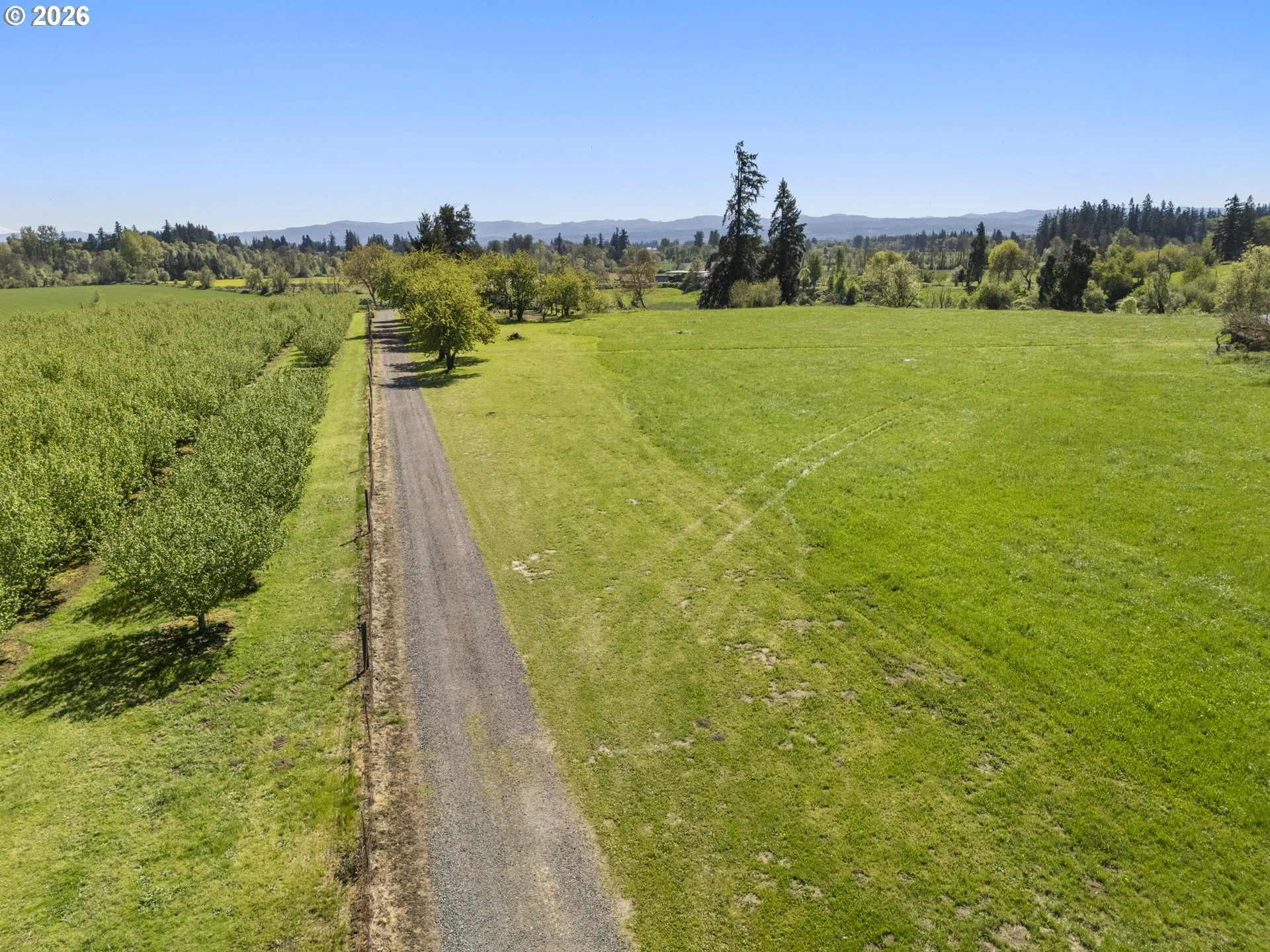 Driveway