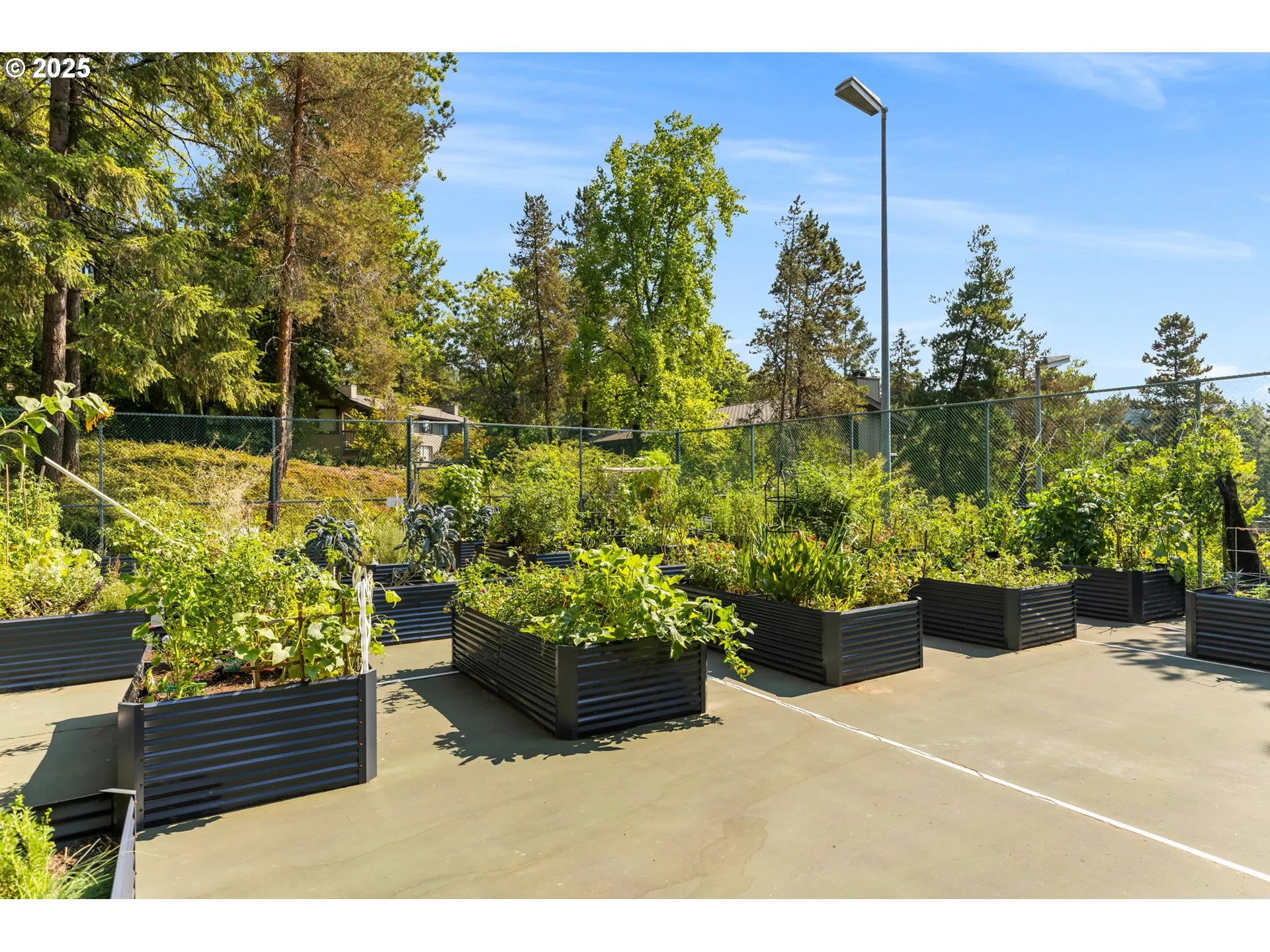 Community Garden