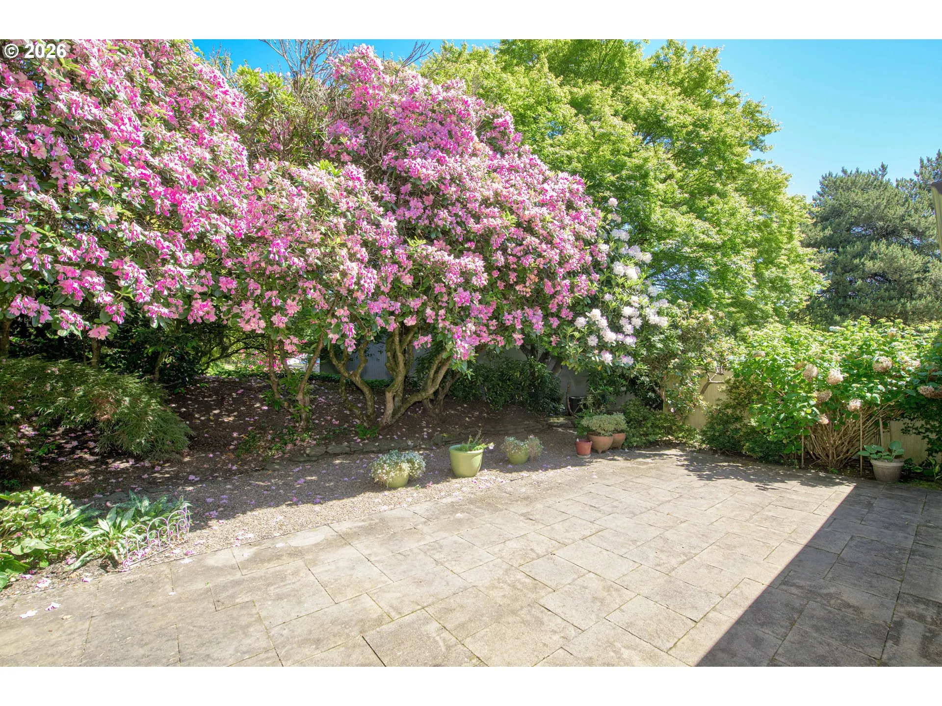 Patio-Backyard