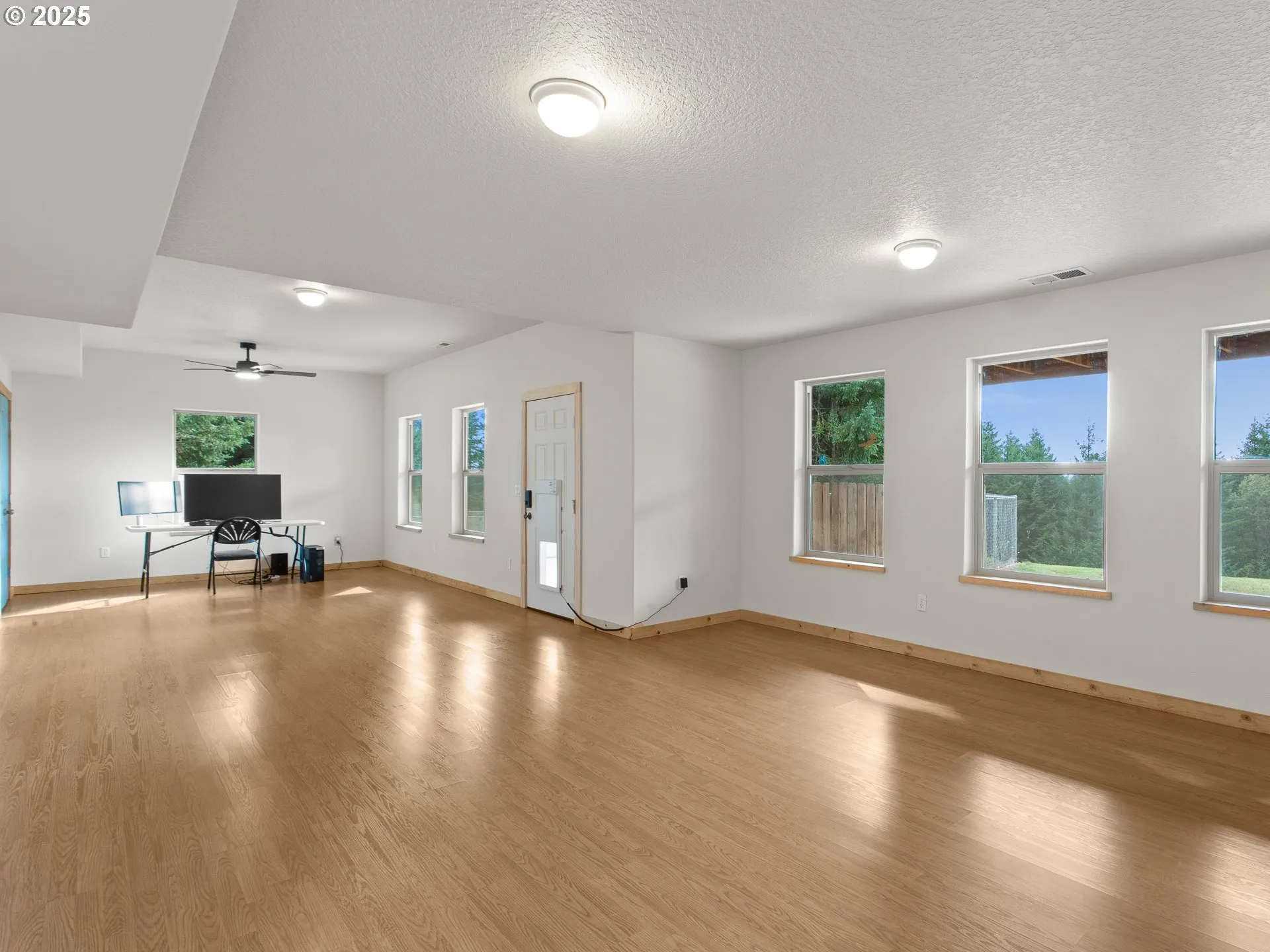 Basement-Finished