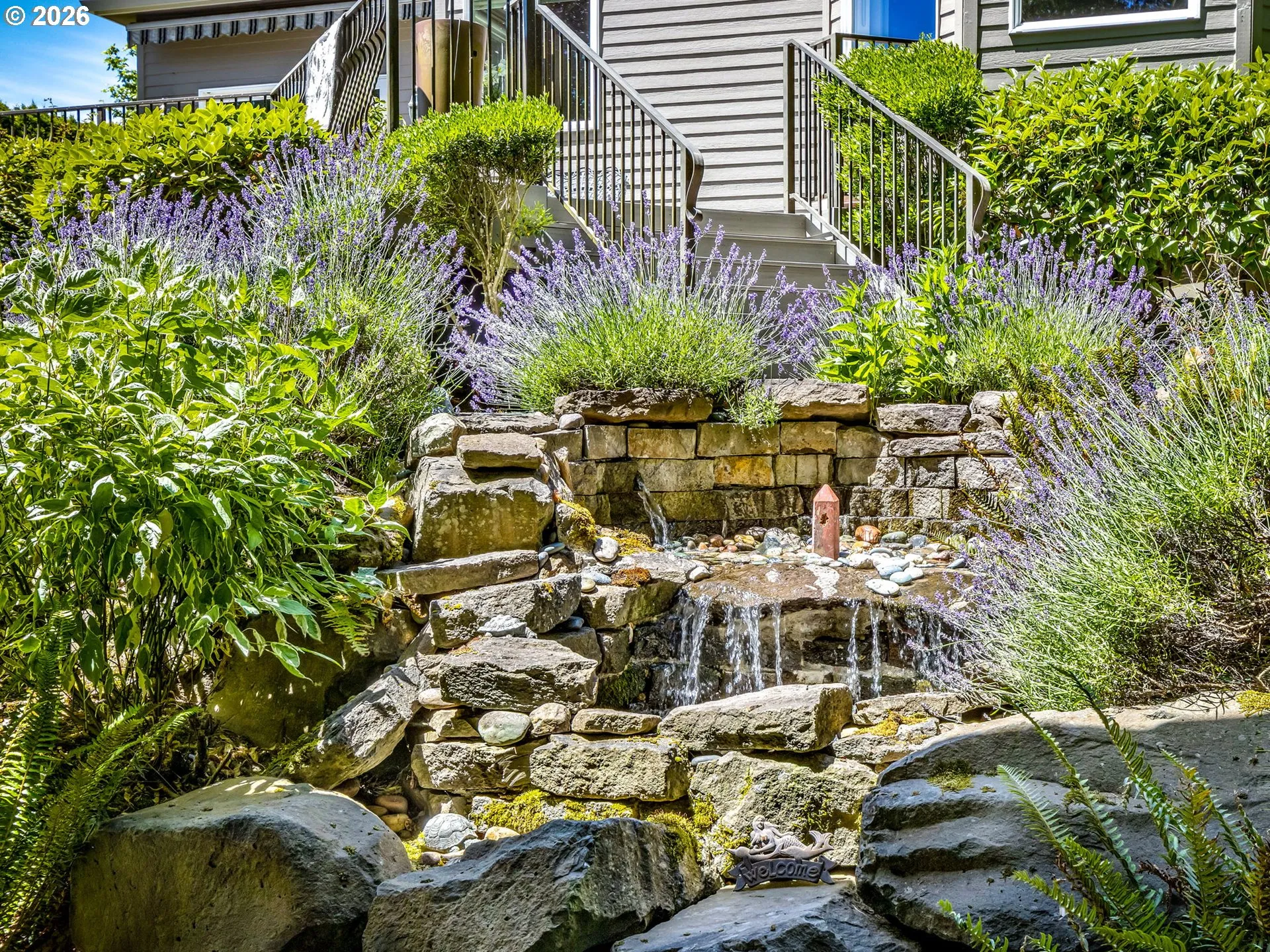 Water Feature