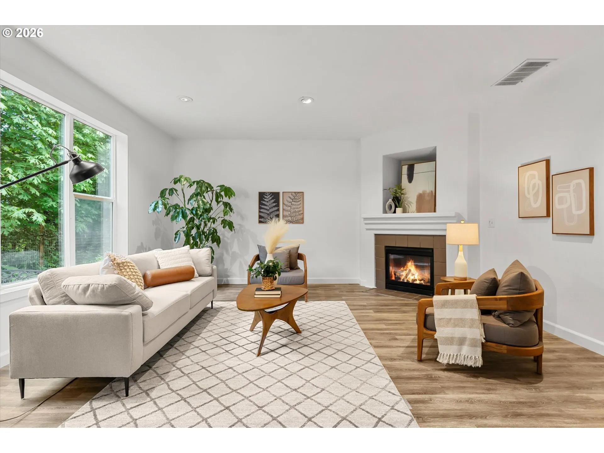 Fireplace Gas Burning Stove/Insert