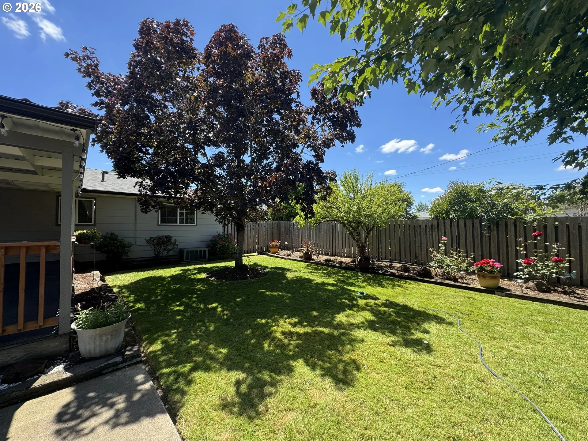 Backyard