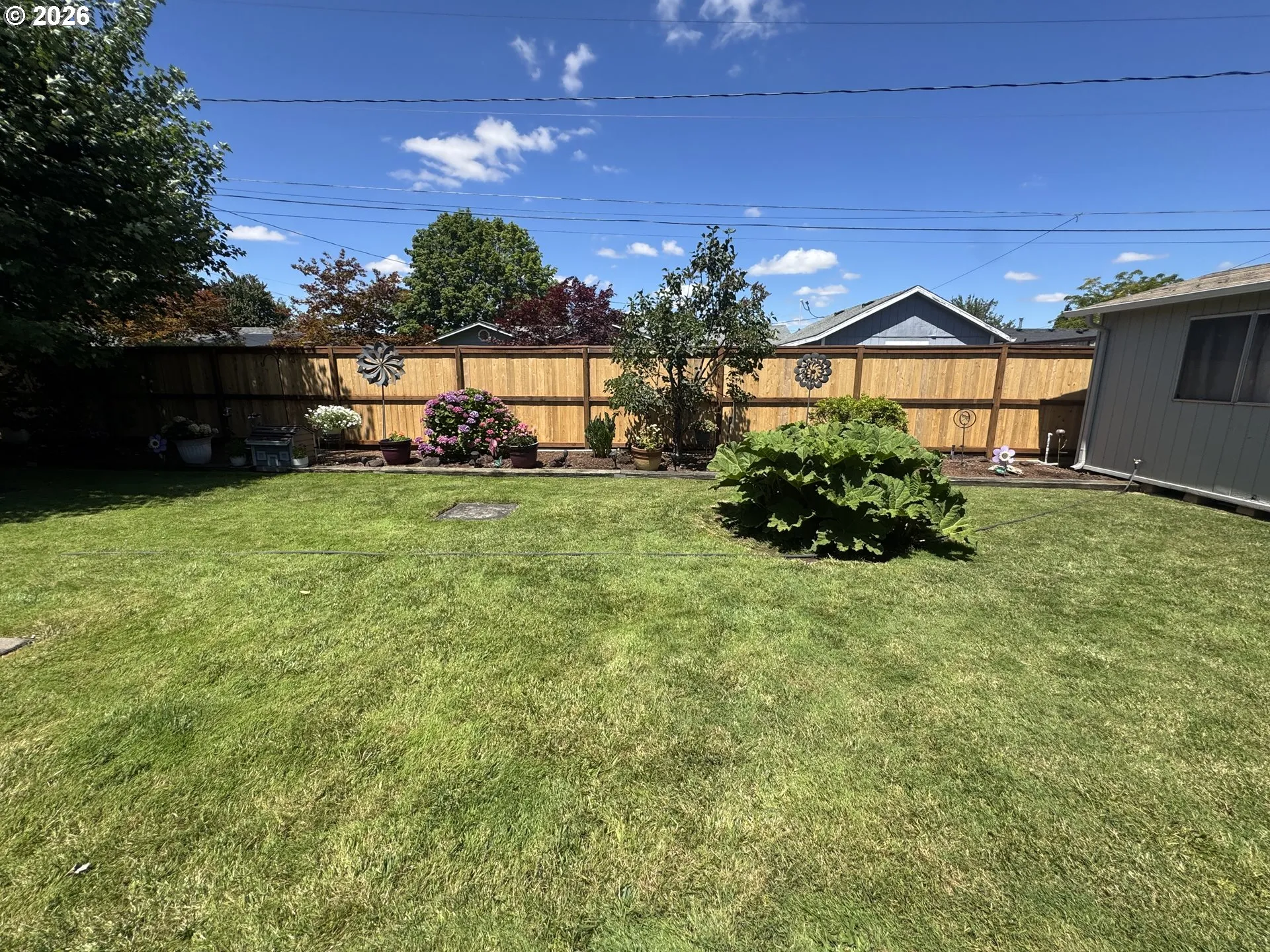 Backyard