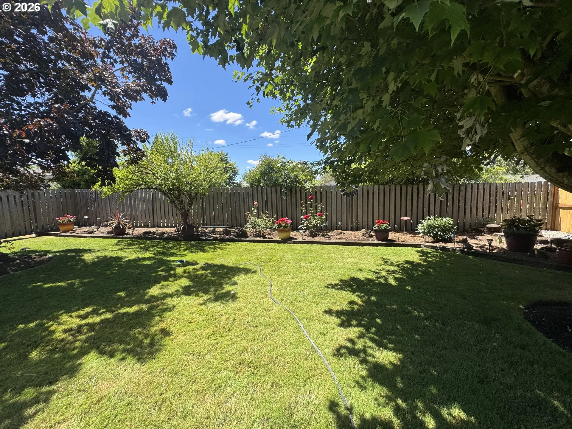 Backyard