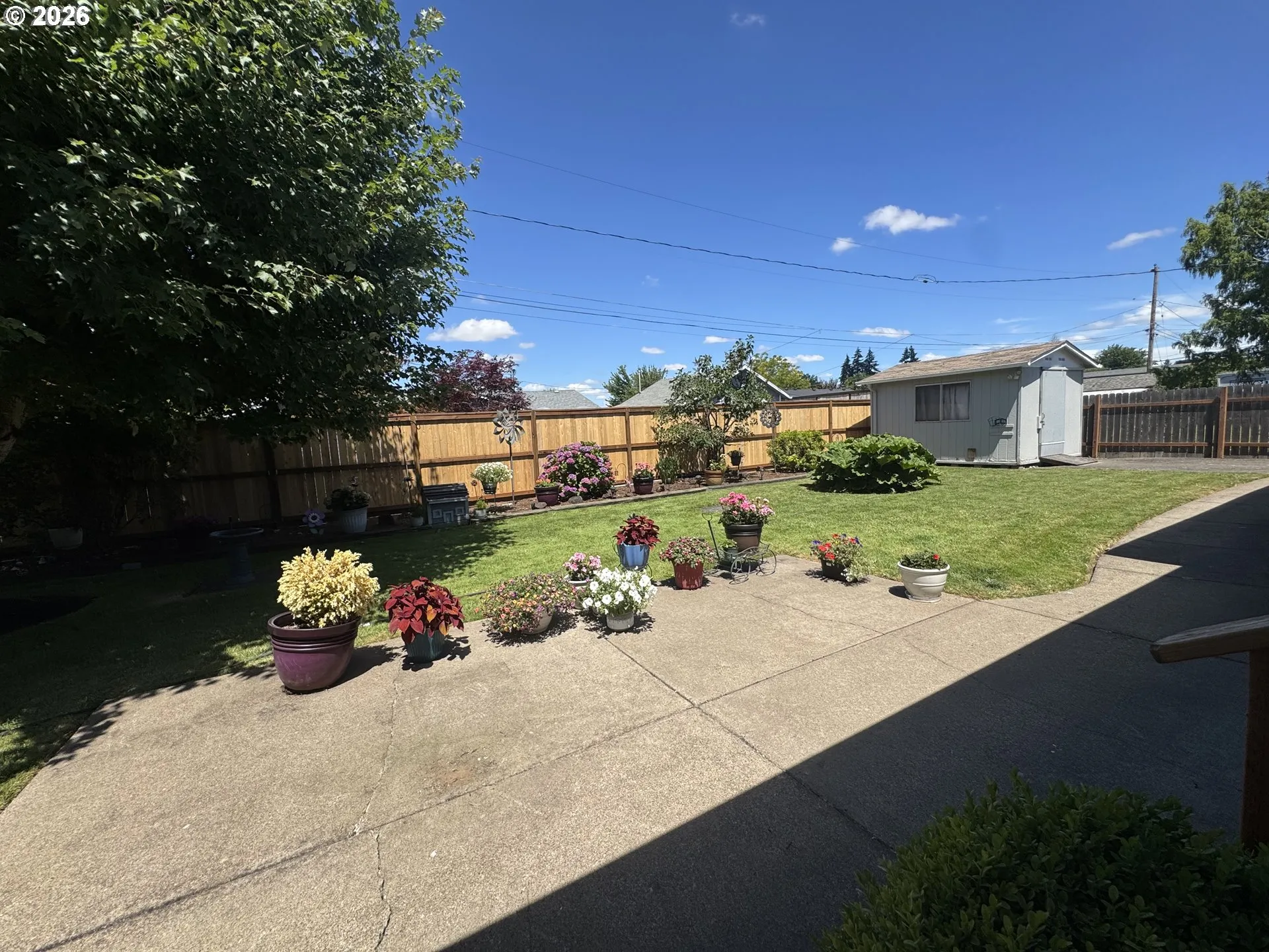 Backyard