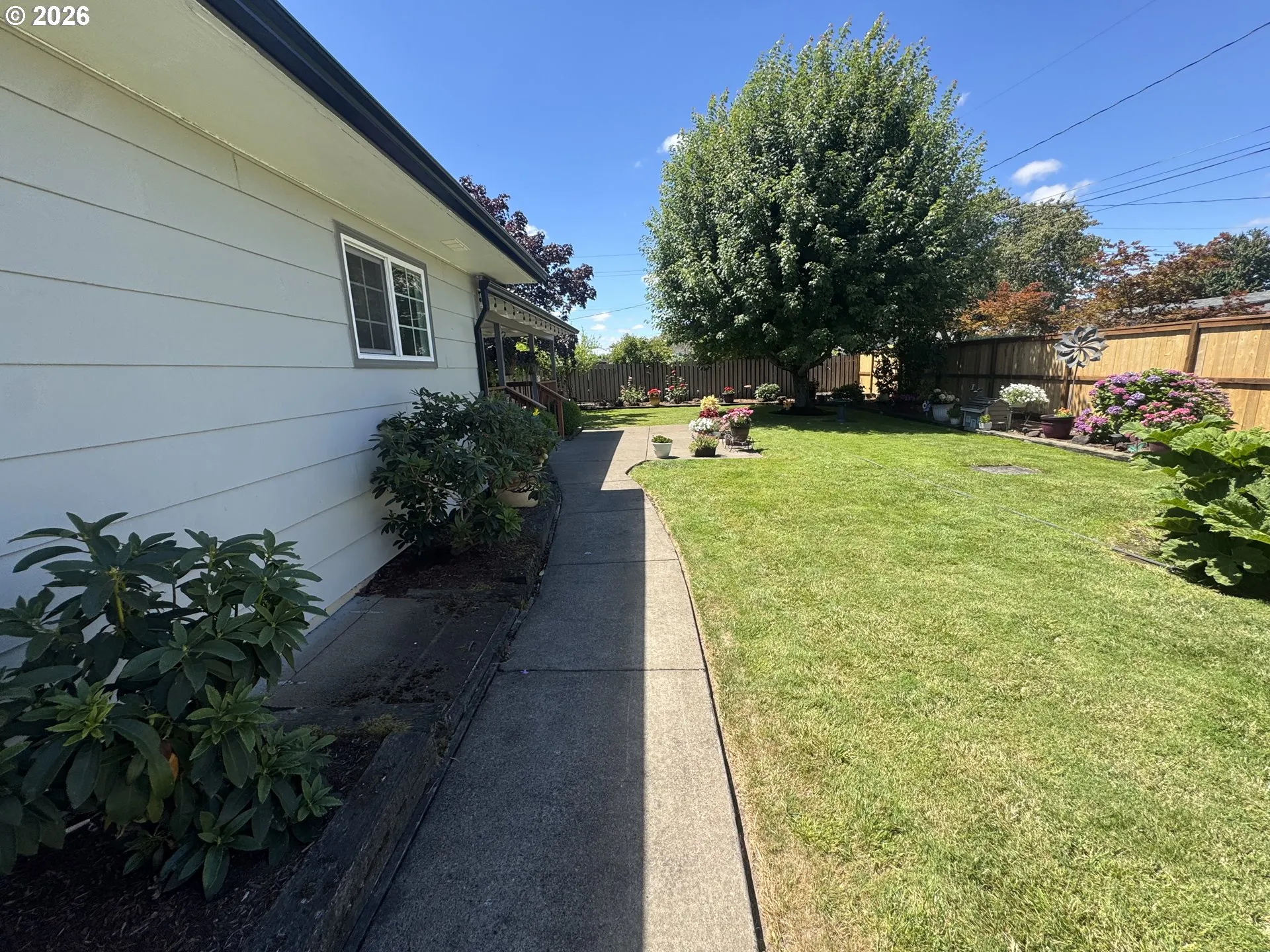 Backyard