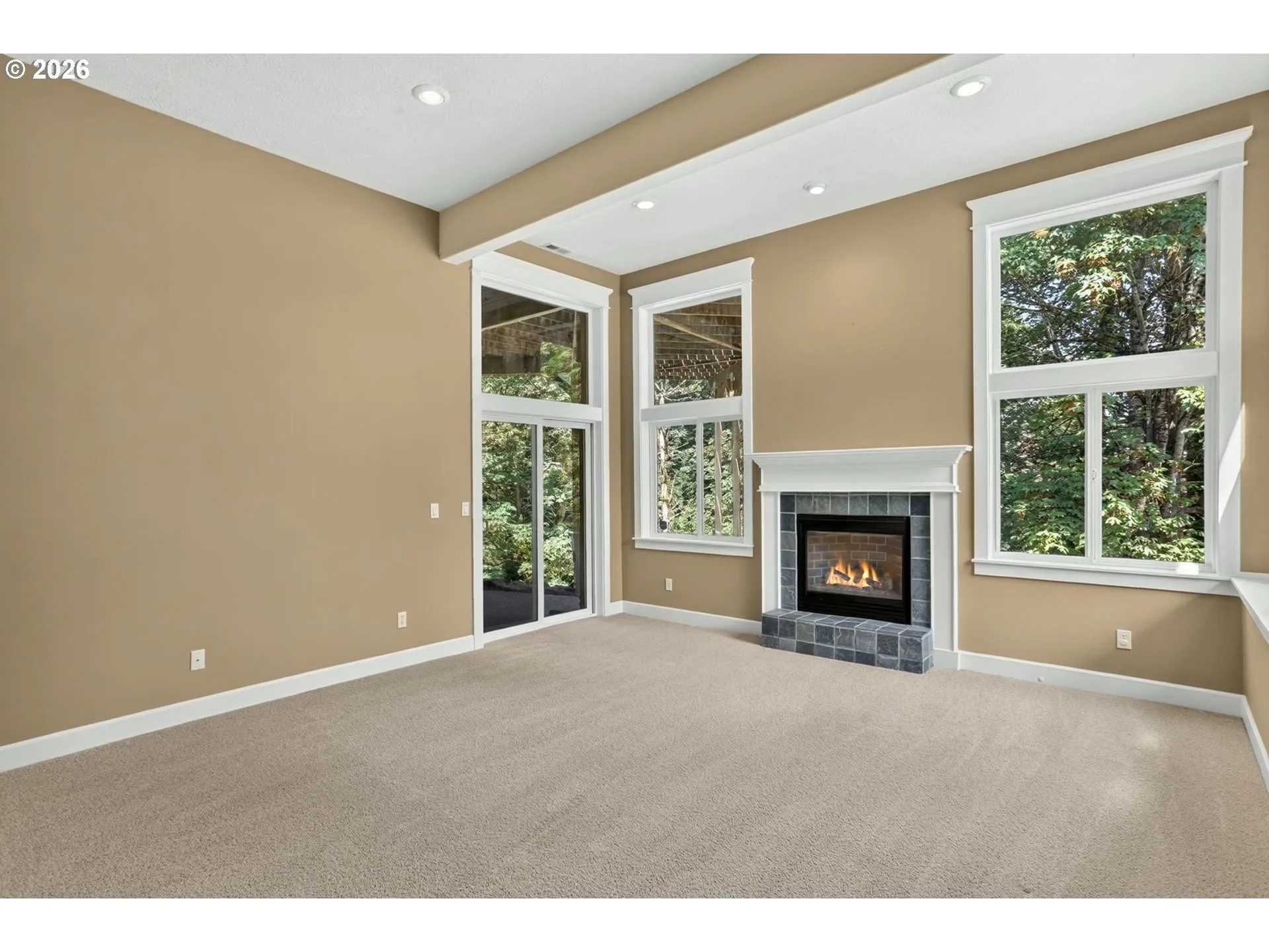 Family Room-Lower