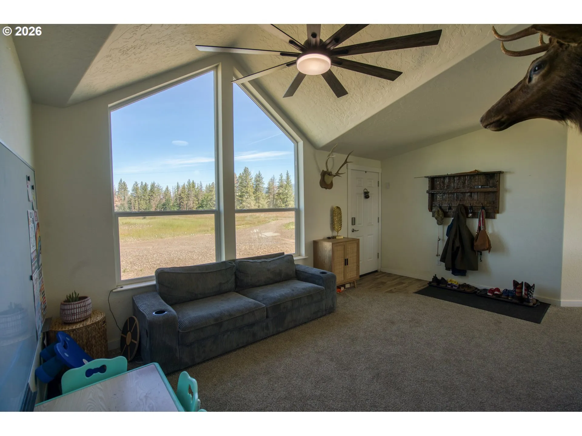 Living Room/Entrance