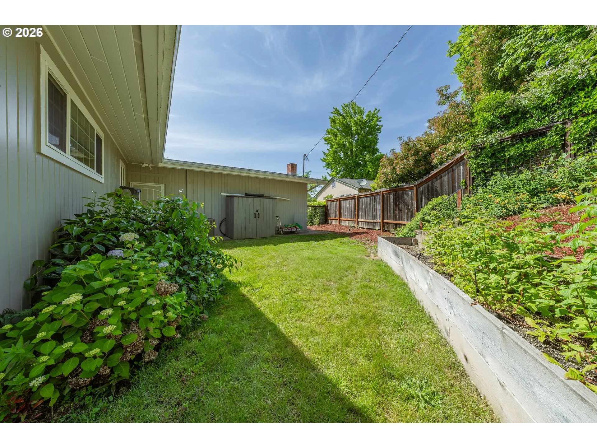 Backyard-Fenced