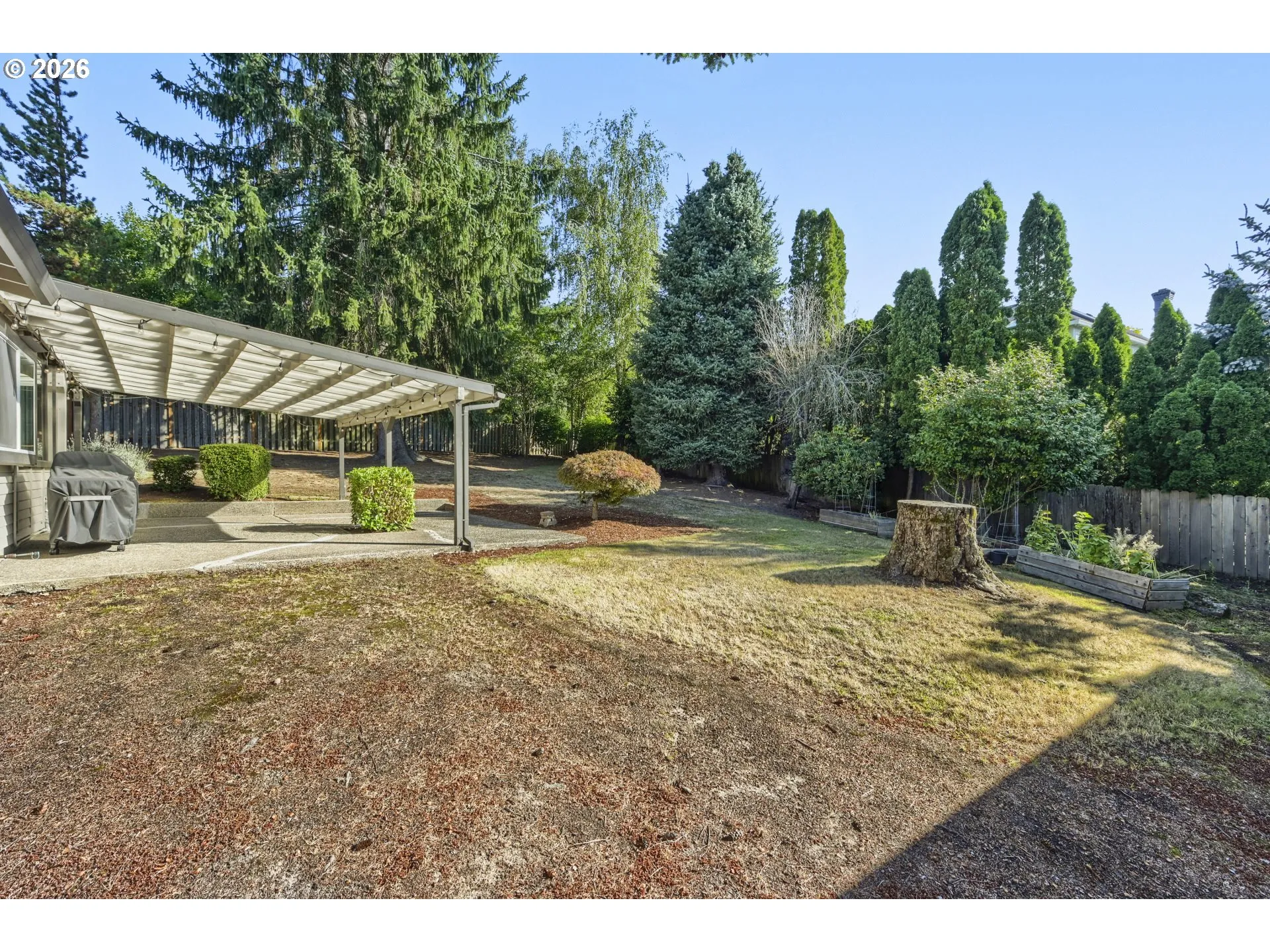 Backyard
