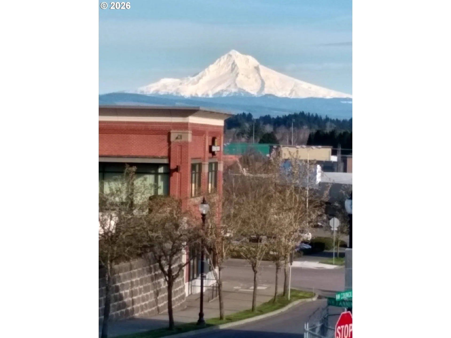 View-Mountain