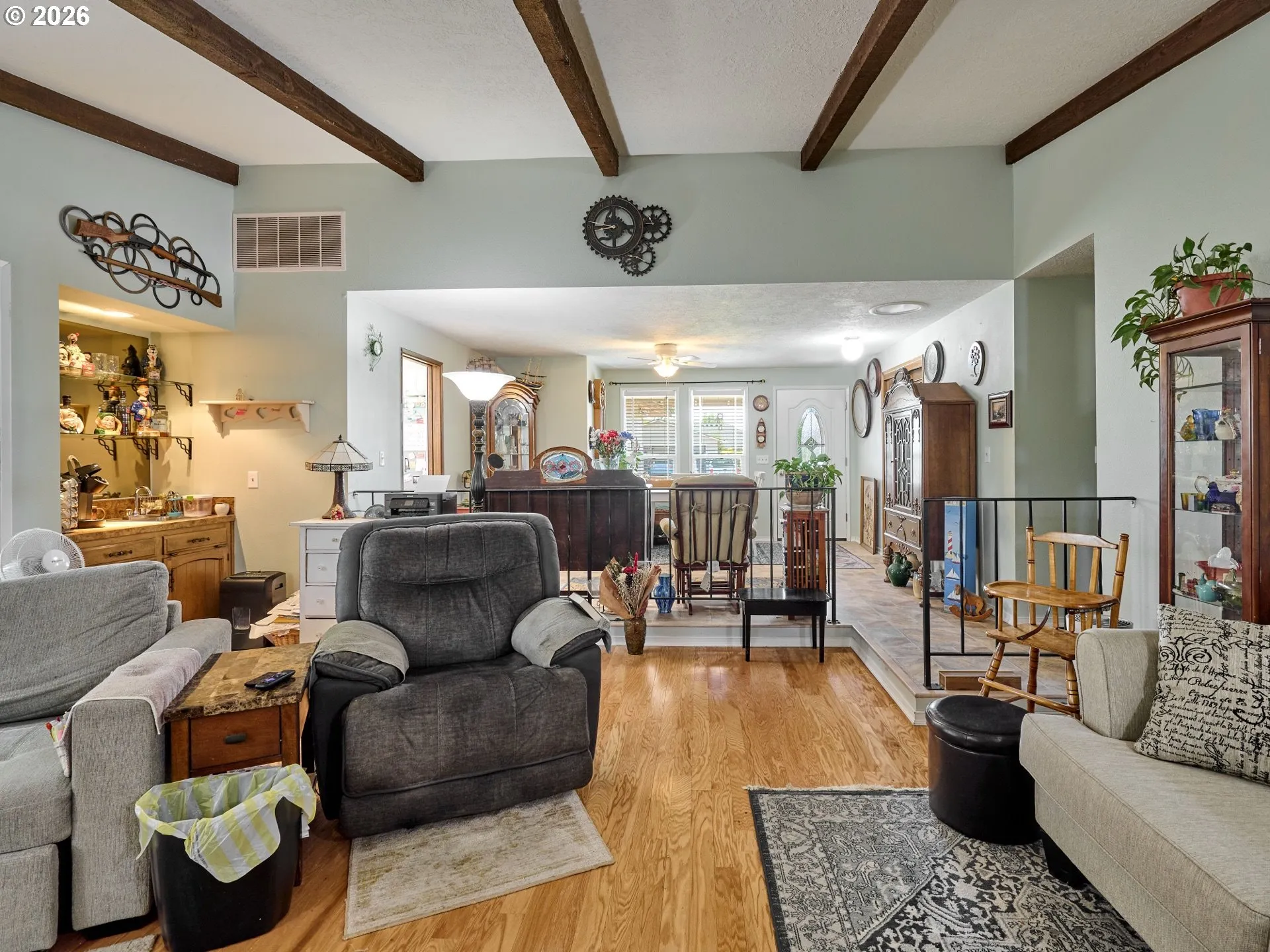 Living Room/Entrance