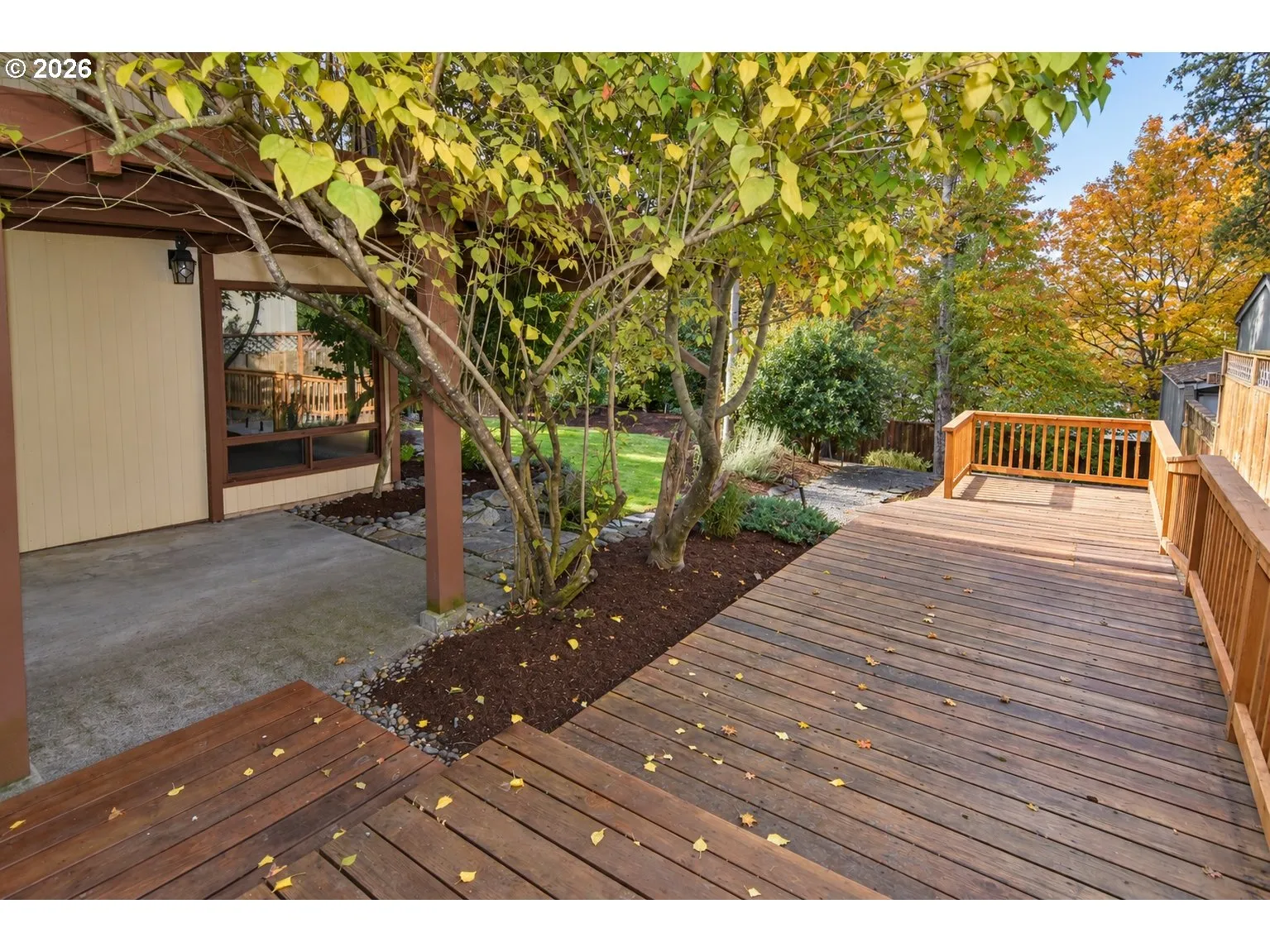 Deck-Lower