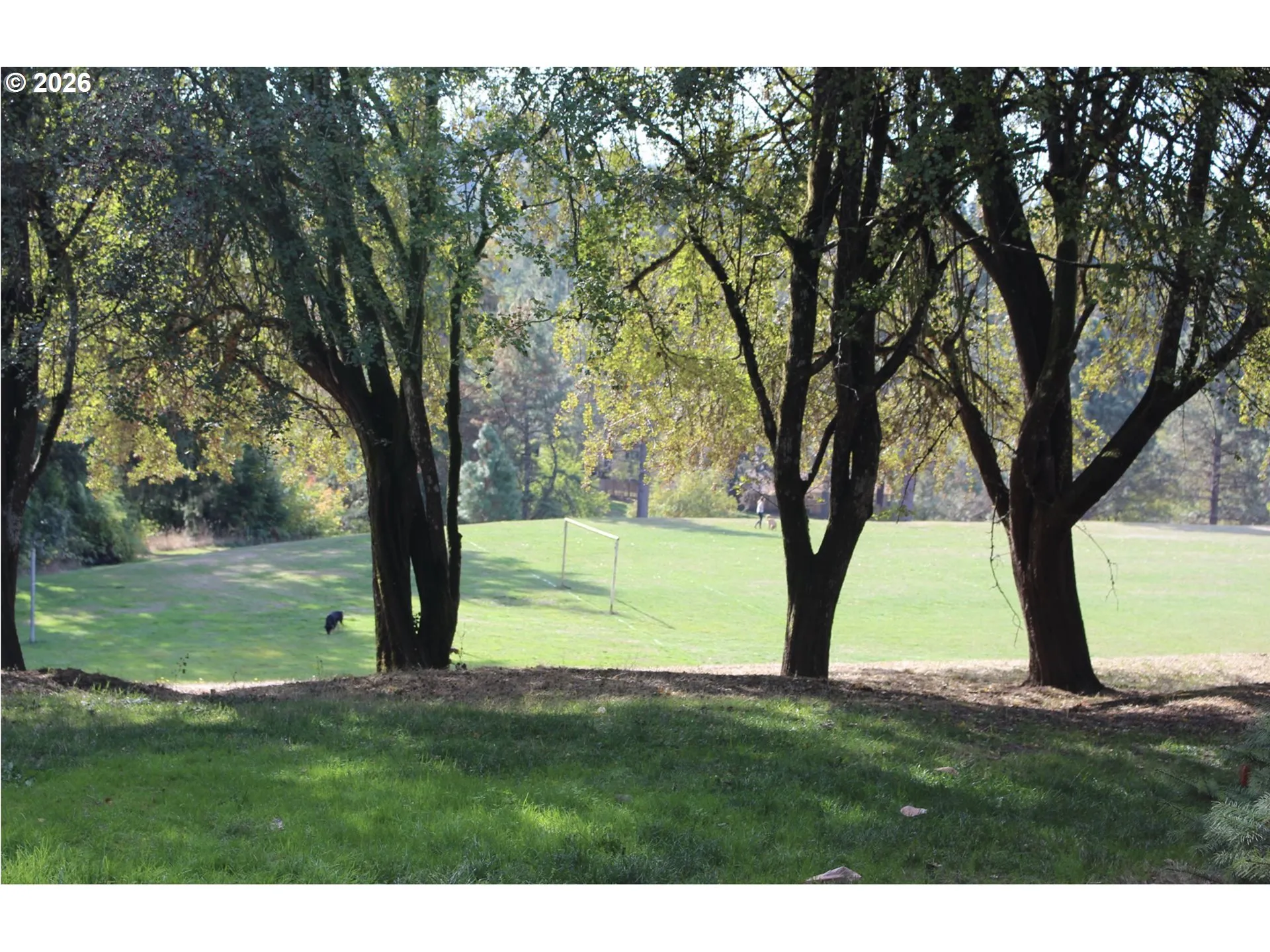 Community Park