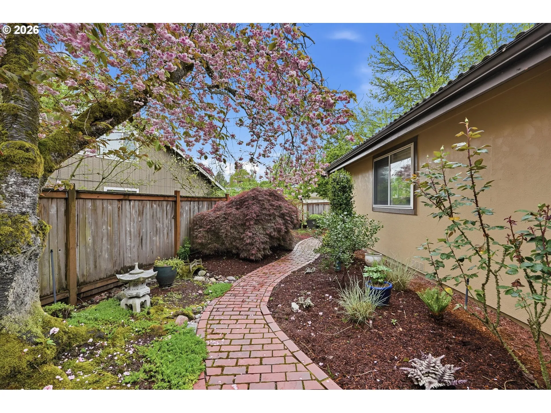 Backyard-Fenced