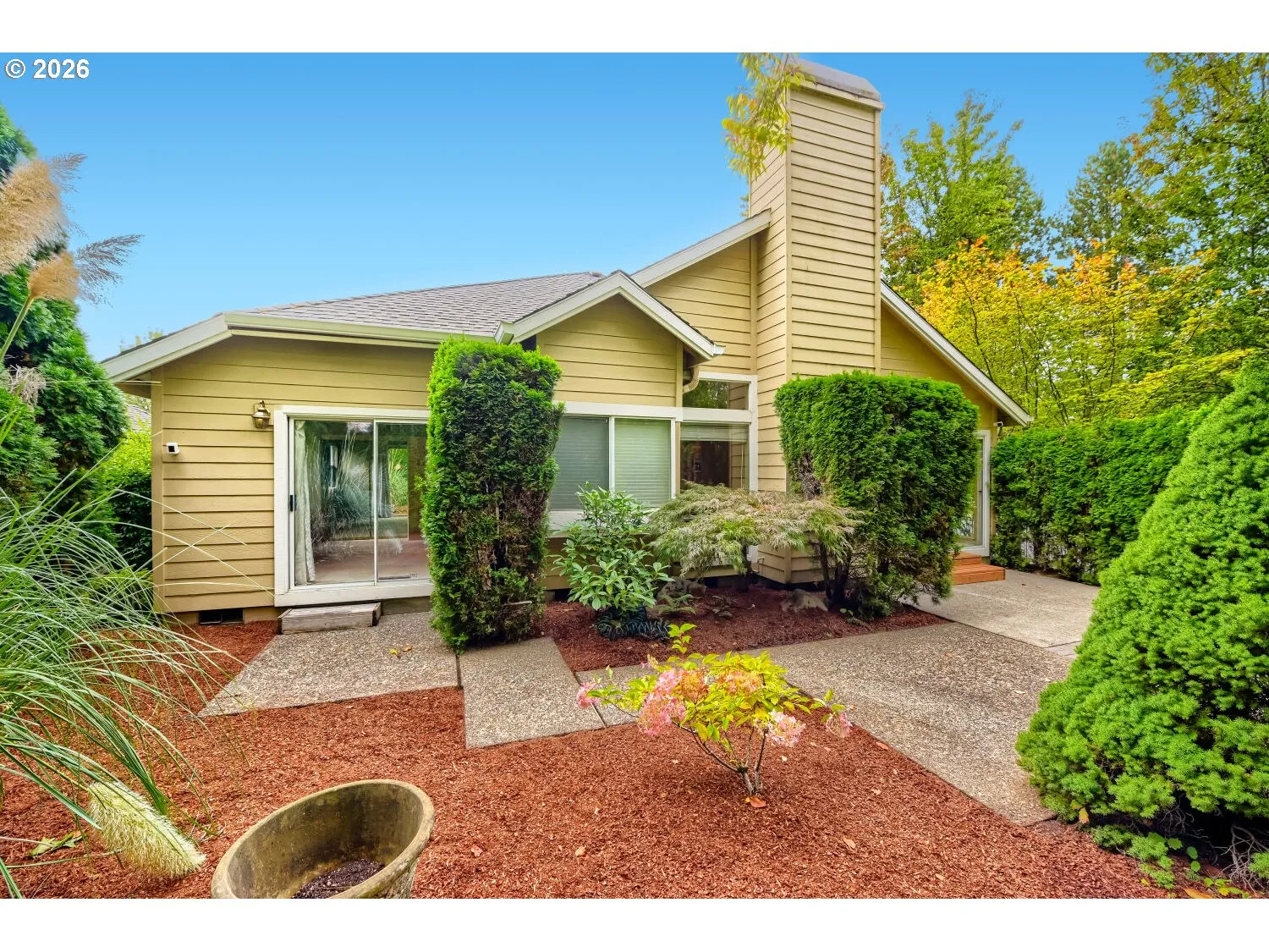 Backyard-View From
