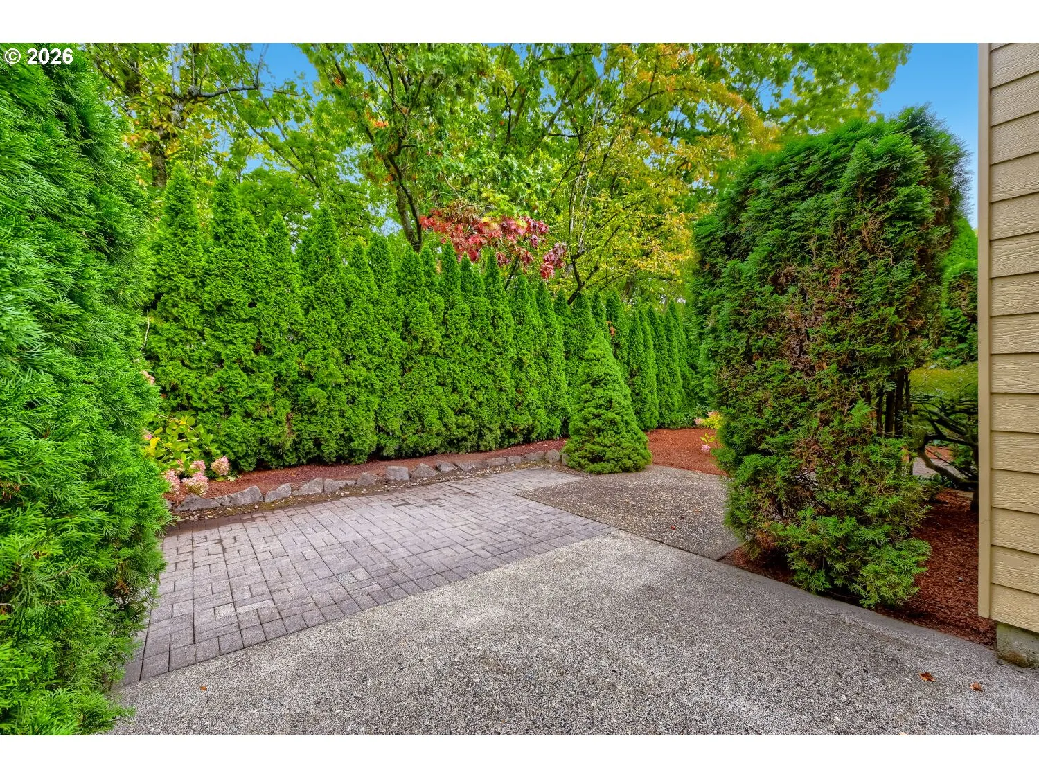 Patio-Backyard