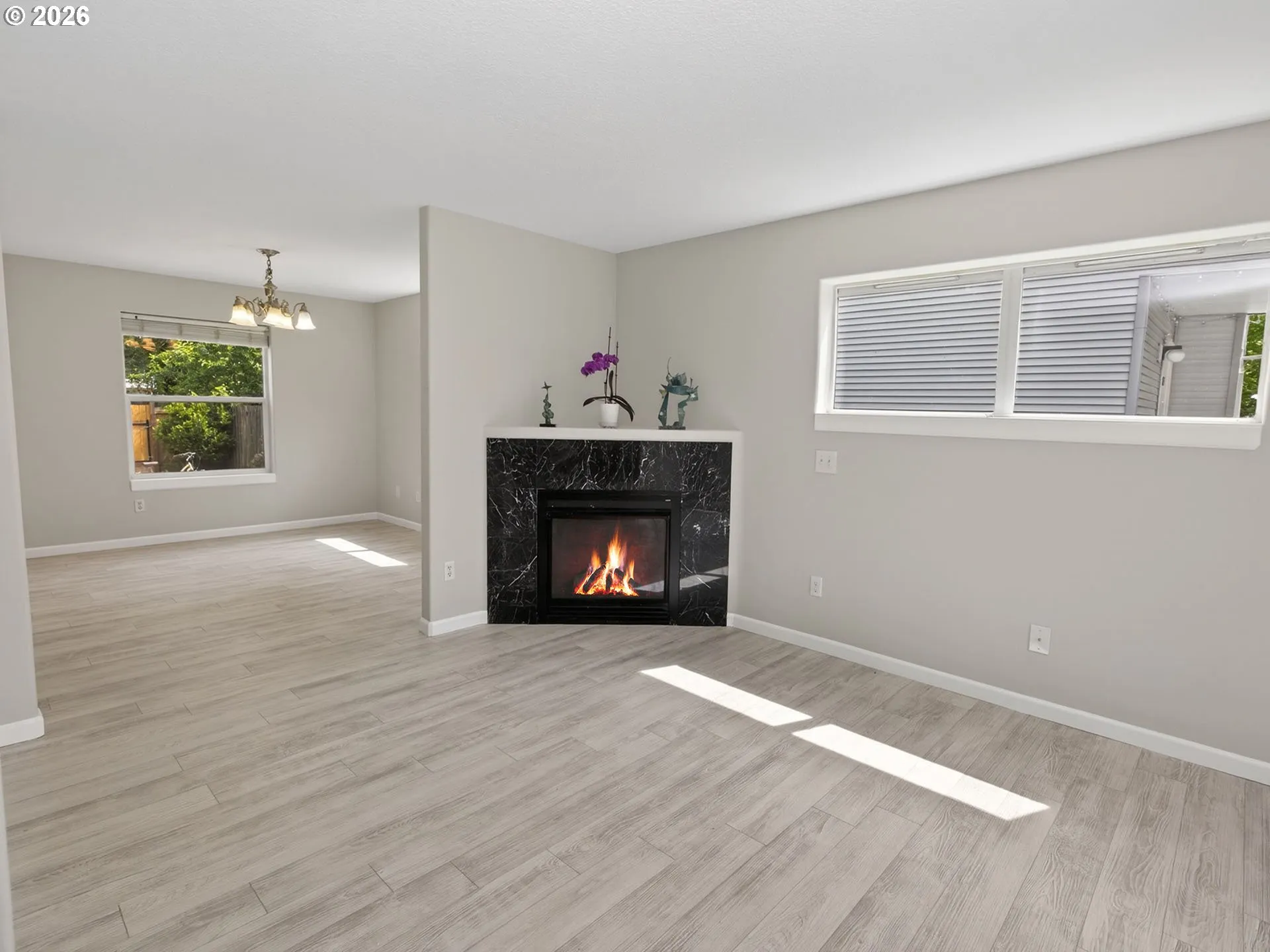 Living Room/Entrance