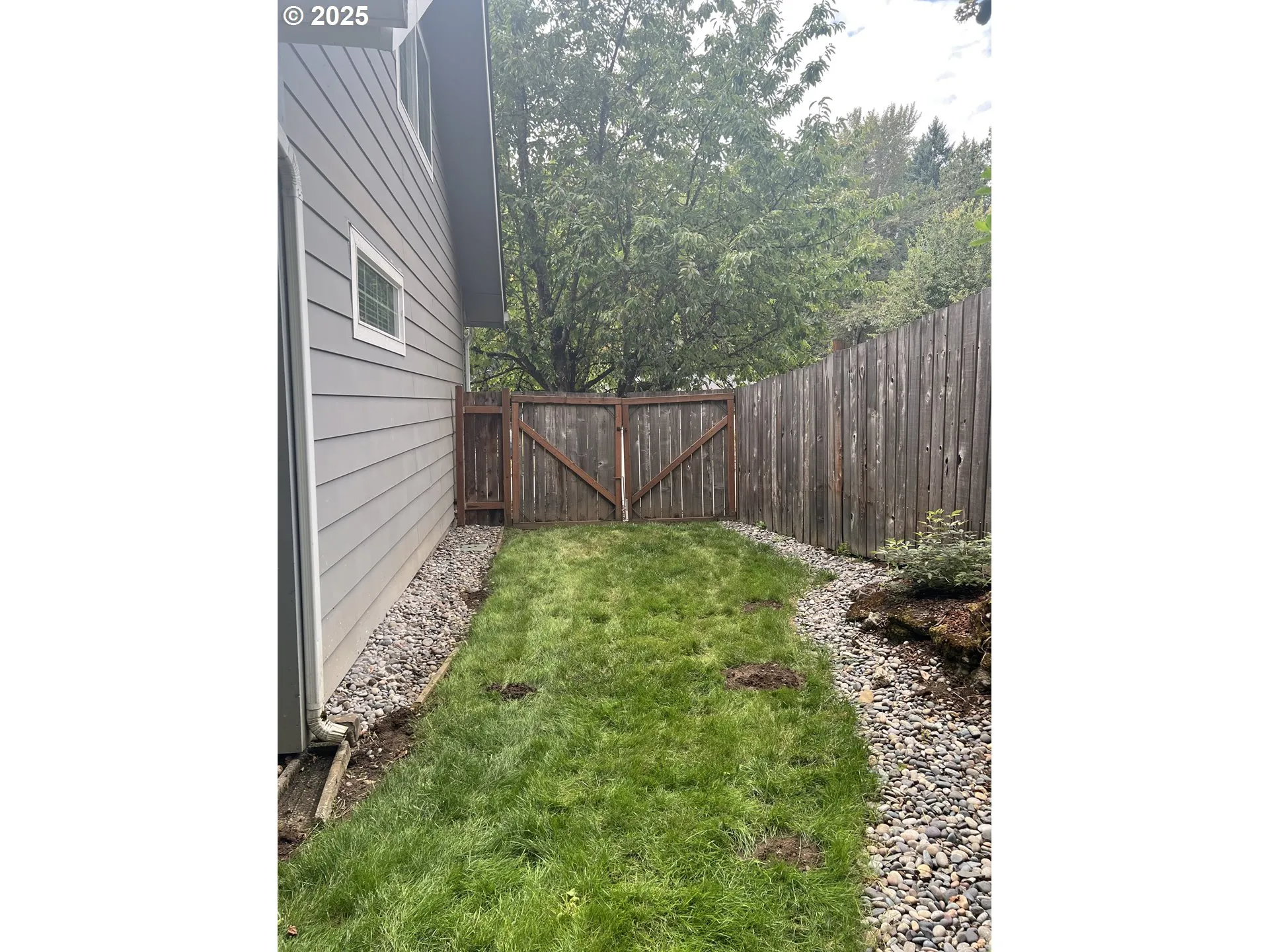 Backyard-Fenced