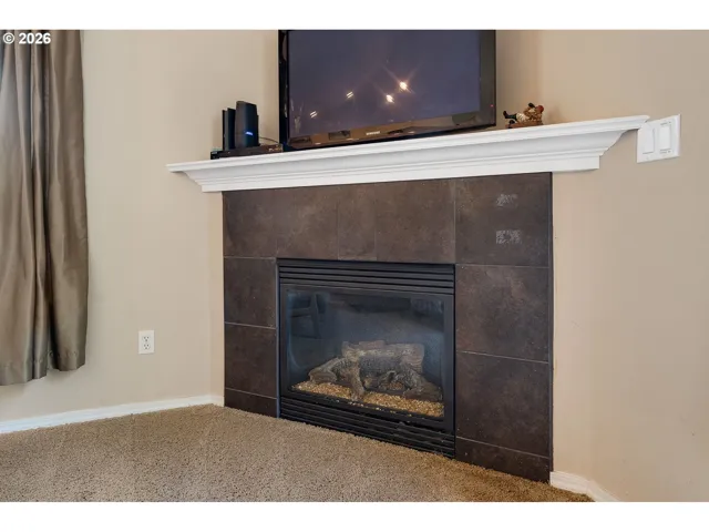 Fireplace Propane