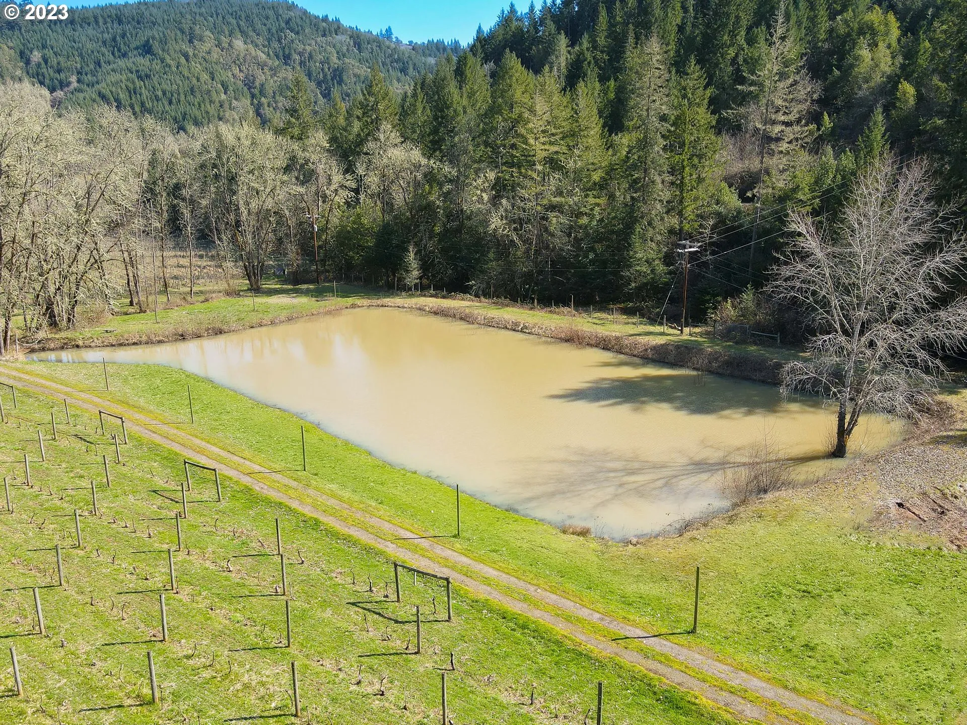 Pond