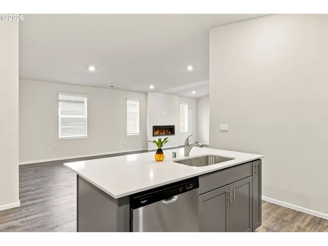 Kitchen/Family Room