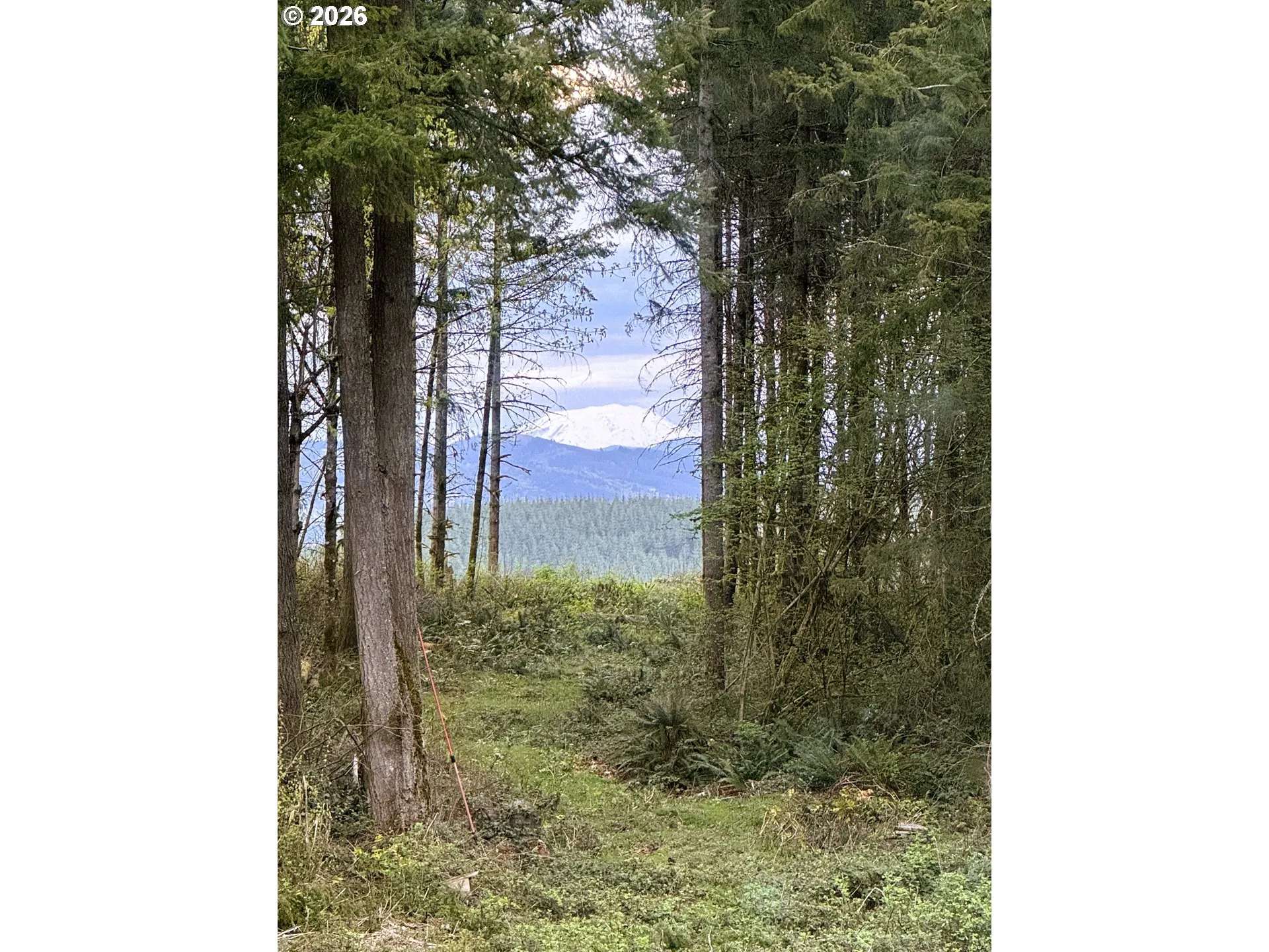 View-Mountain