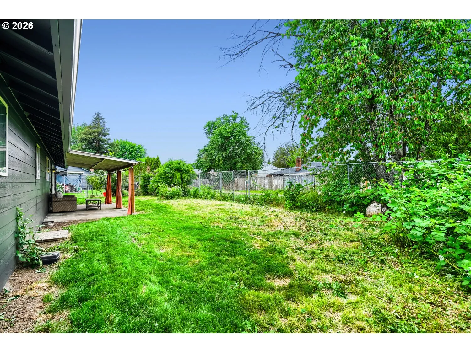 Backyard-Fenced