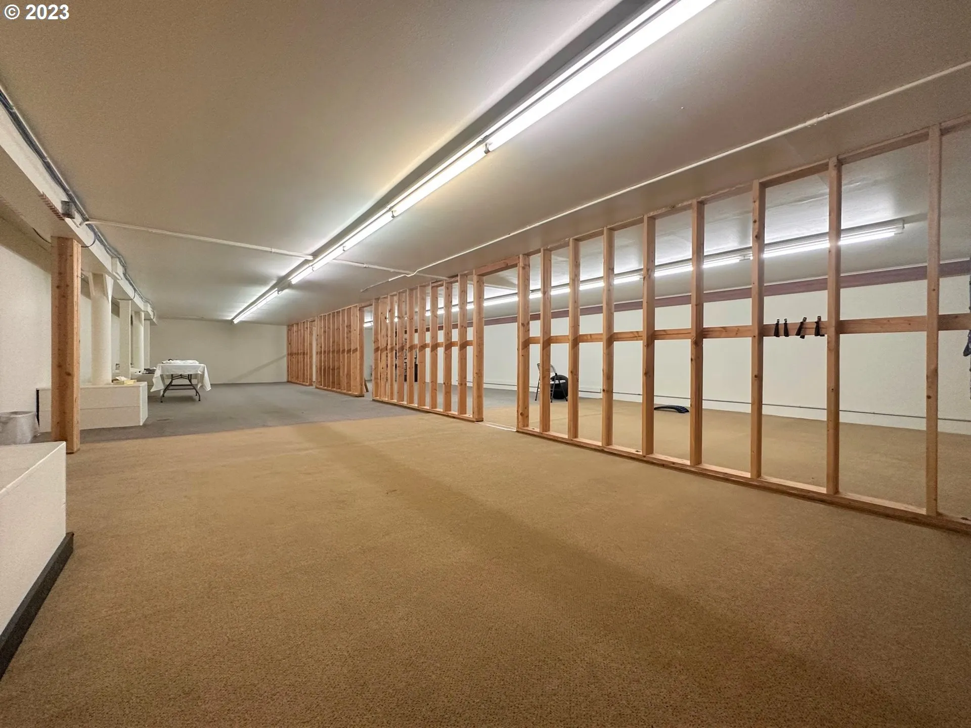 Basement-Finished