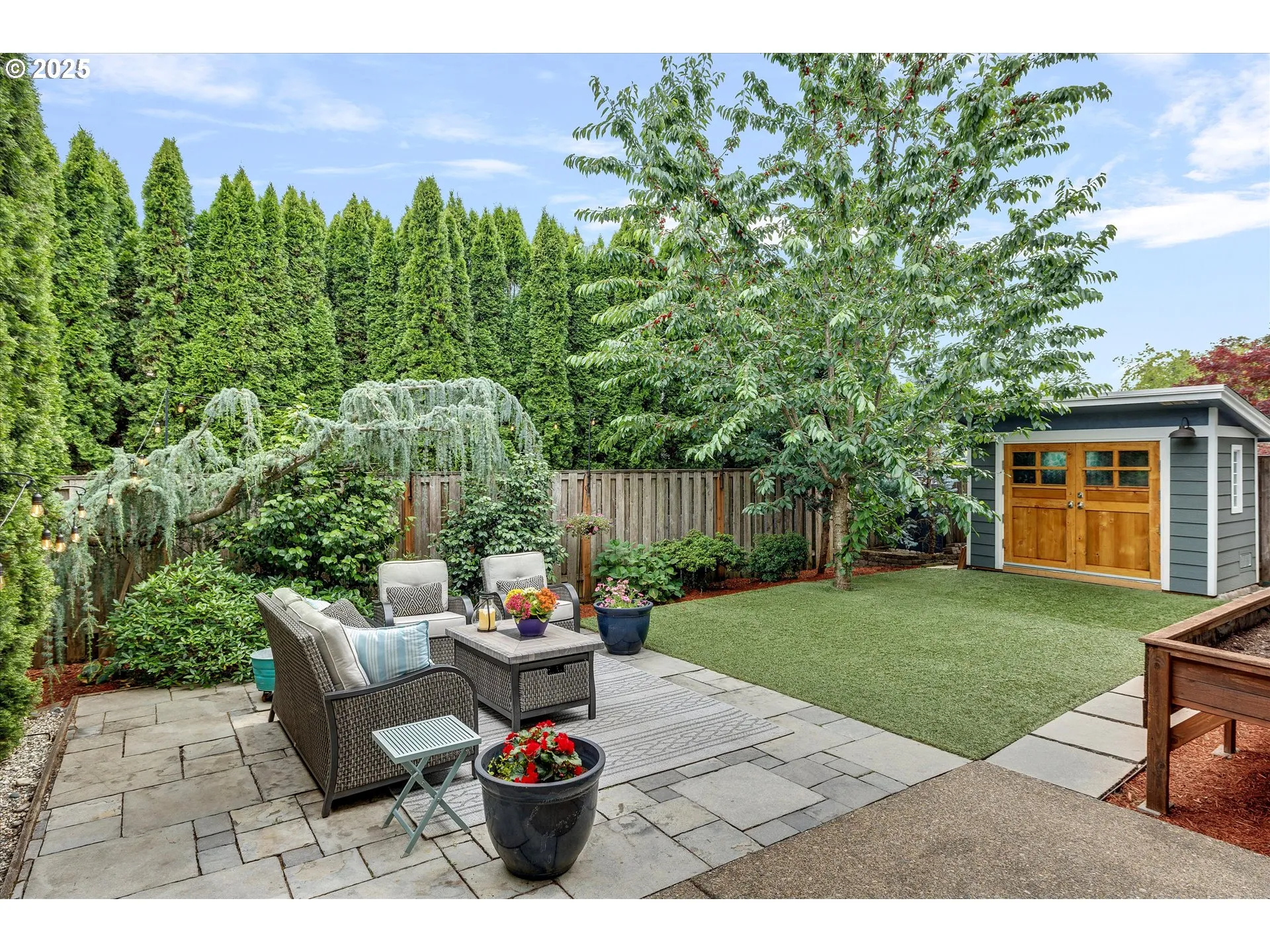 Backyard