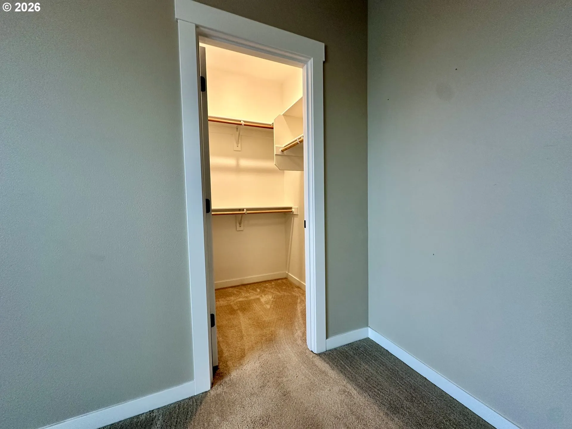 Bedroom-Walk-In Closet