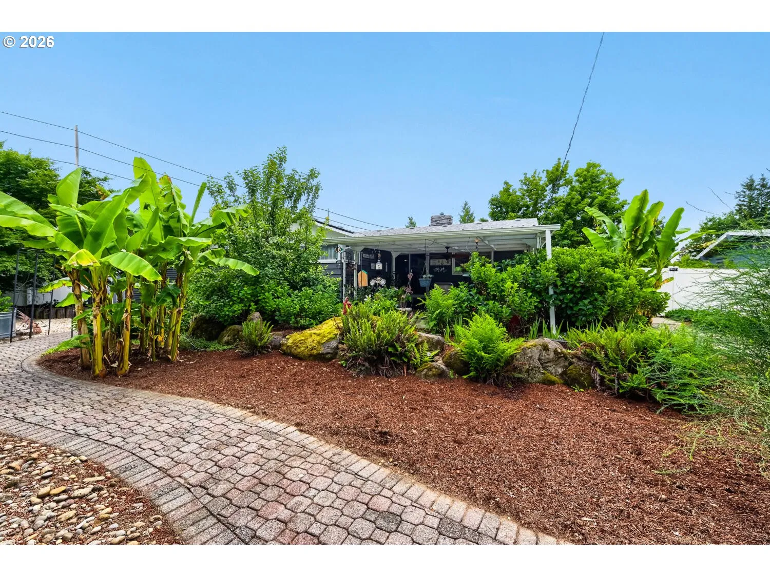 Backyard-Fenced