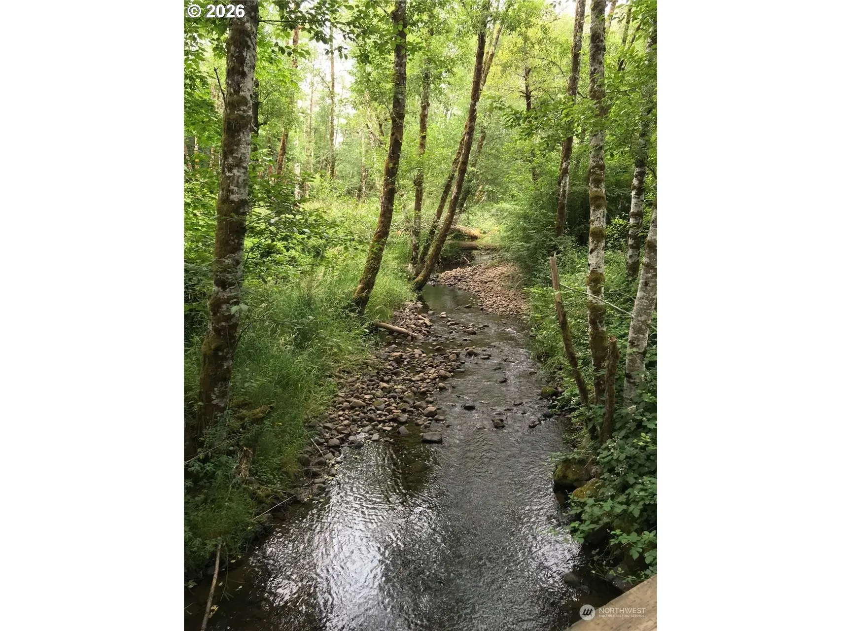 Creek