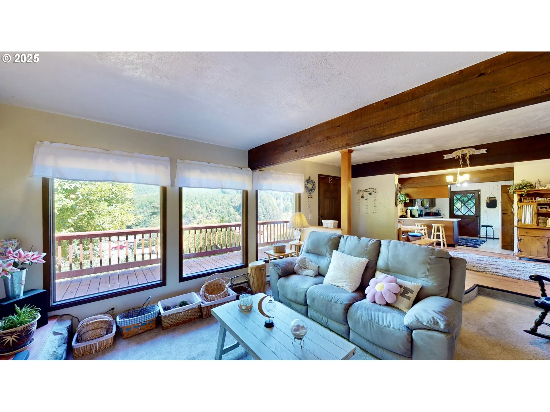 Living Room-# 1