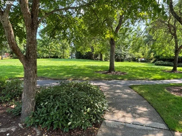 Community Park