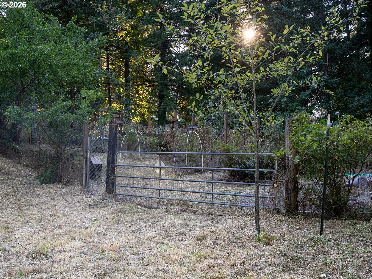 Garden-# 1