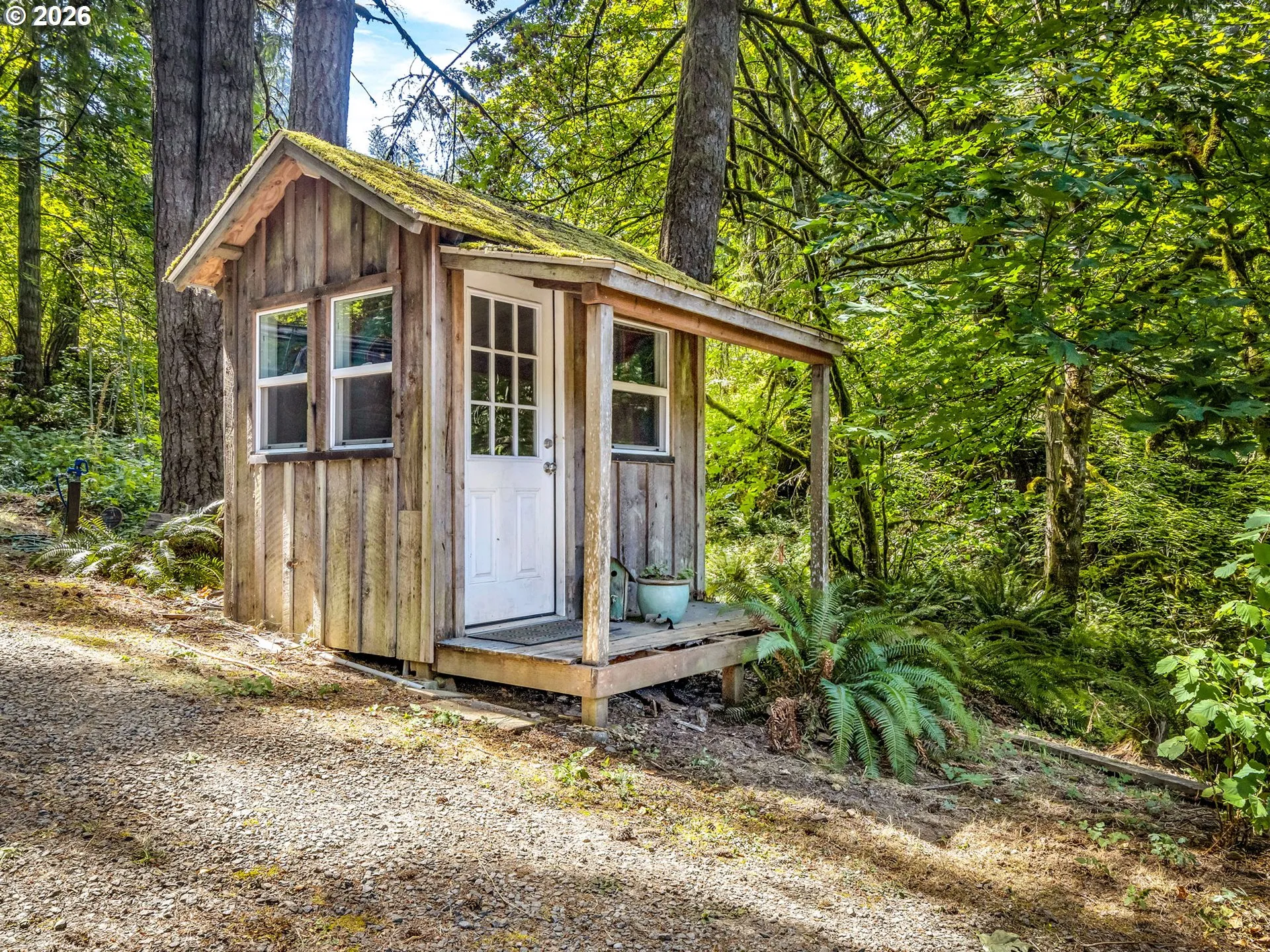 Shed